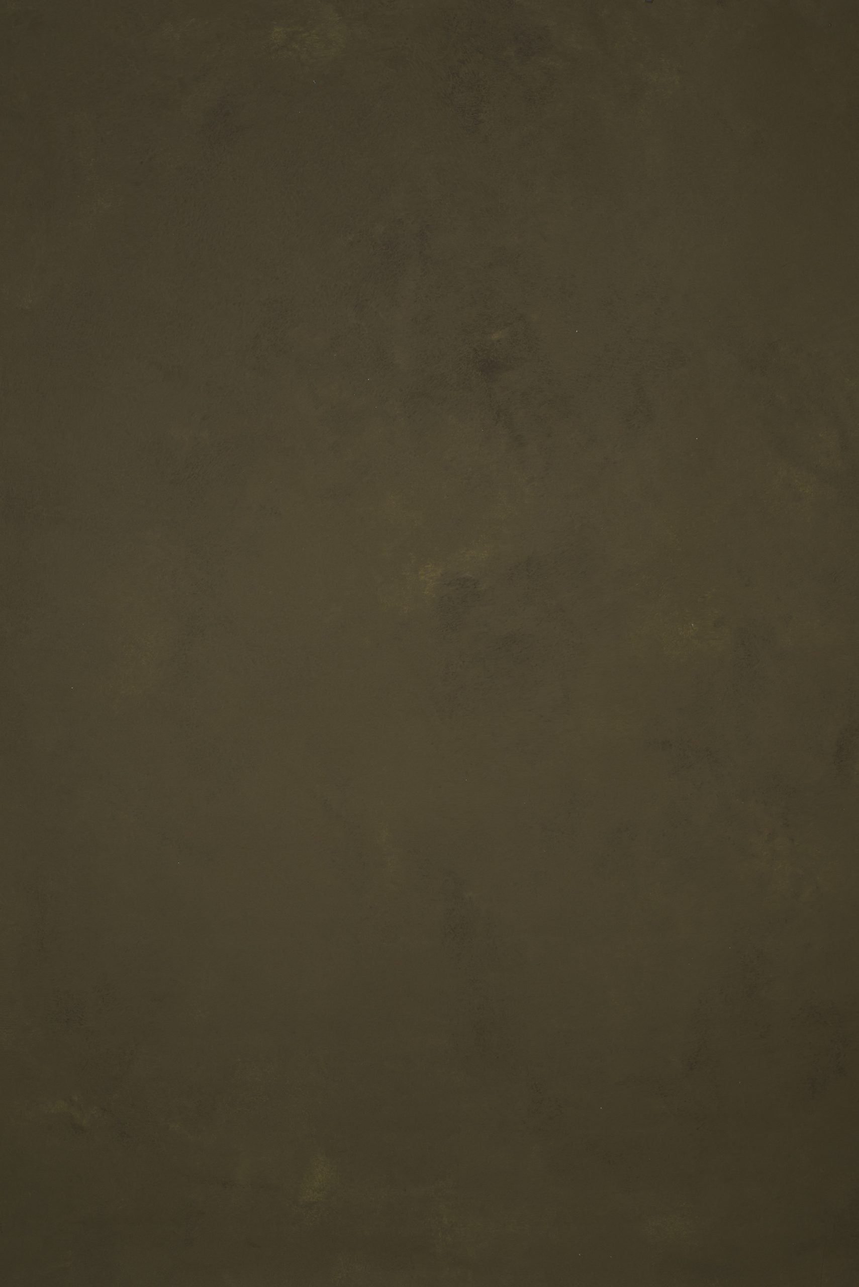 11691 Olive Green Low Text L