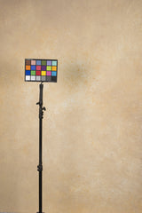 11709 Ochre Mid Text L