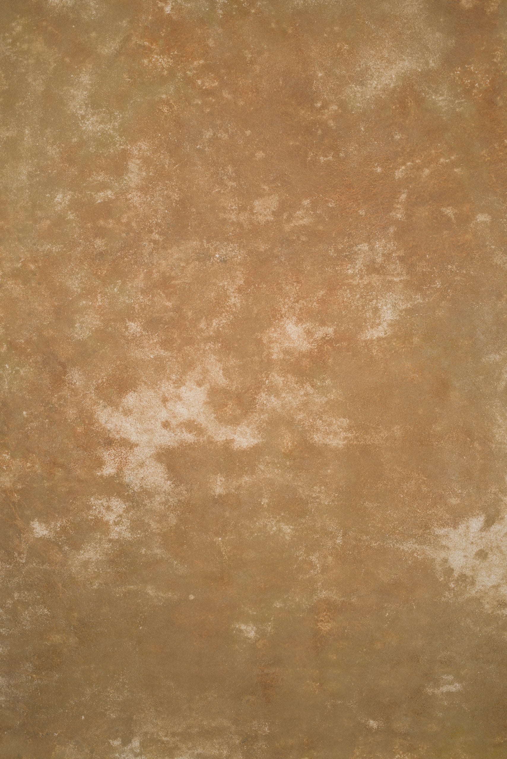 11711 Ochre Strong Text L