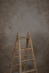 11746 Warm Grey Mid Text M