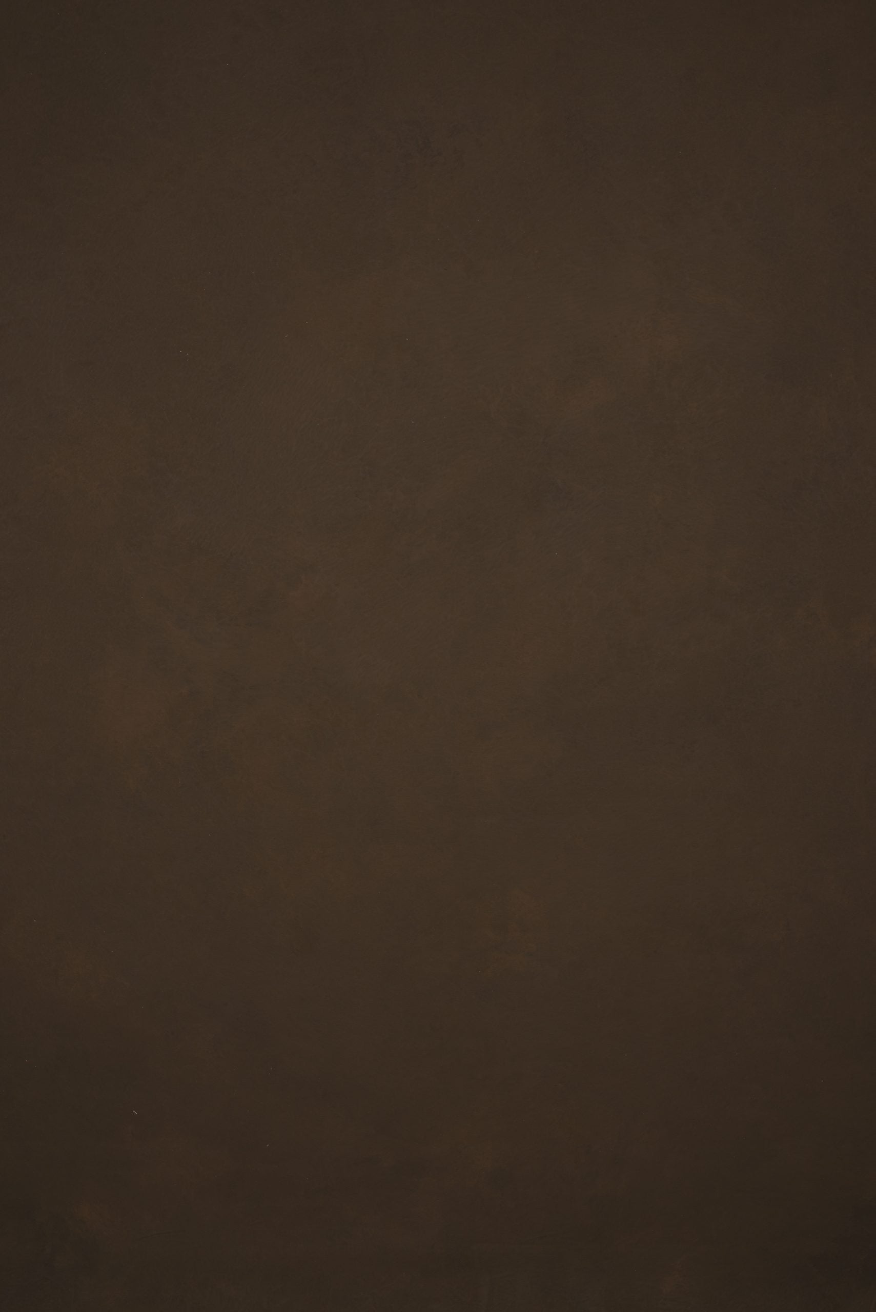 11764 Brown Low Text M