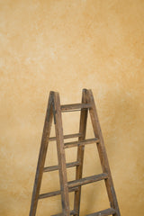 11794 Ochre Mid Text M