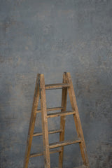 11826 Cold Grey Beige Strong Text ST