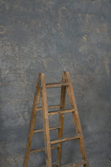 11827 Cold Grey Beige Strong Text ST