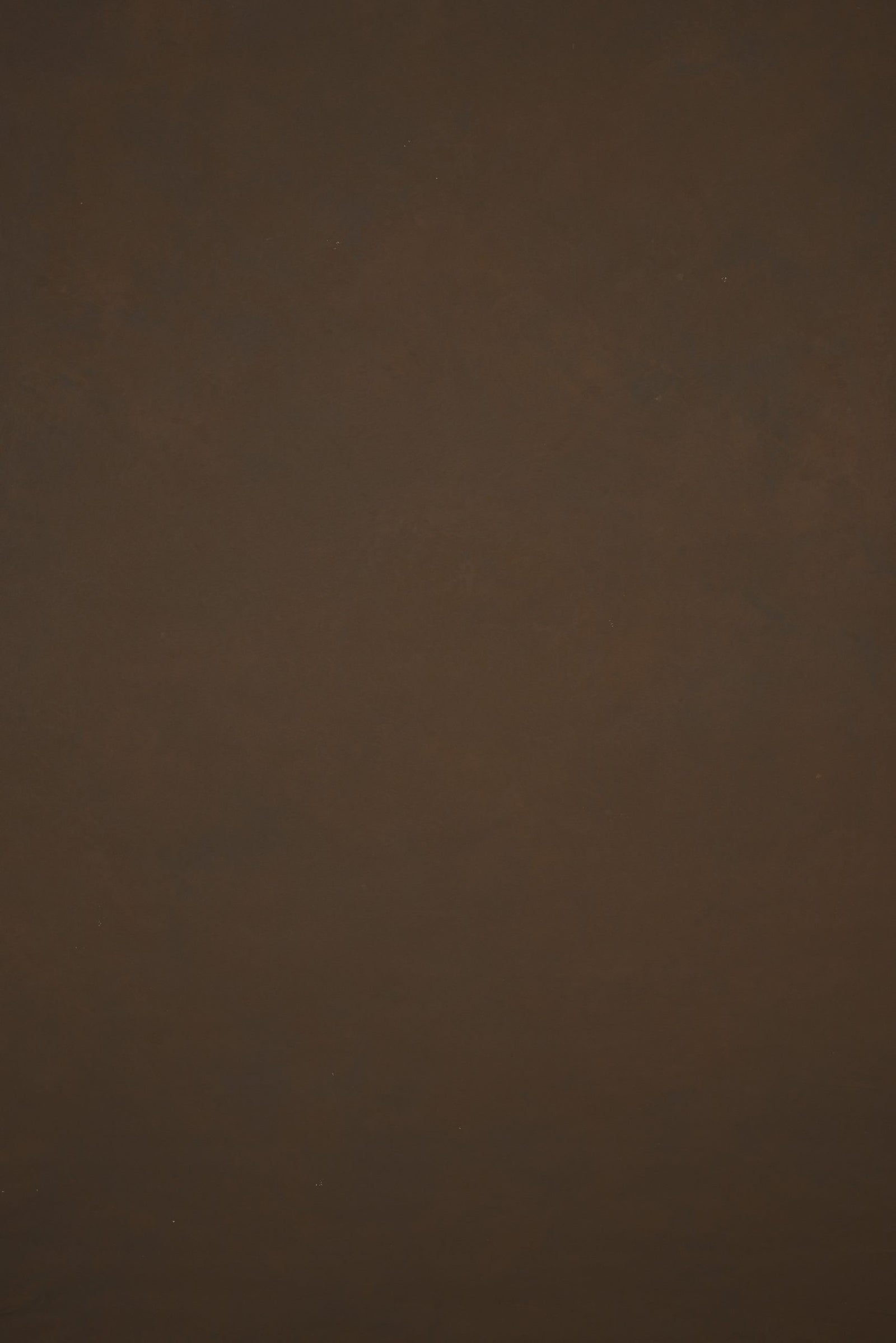 11830 Brown Low Text ST