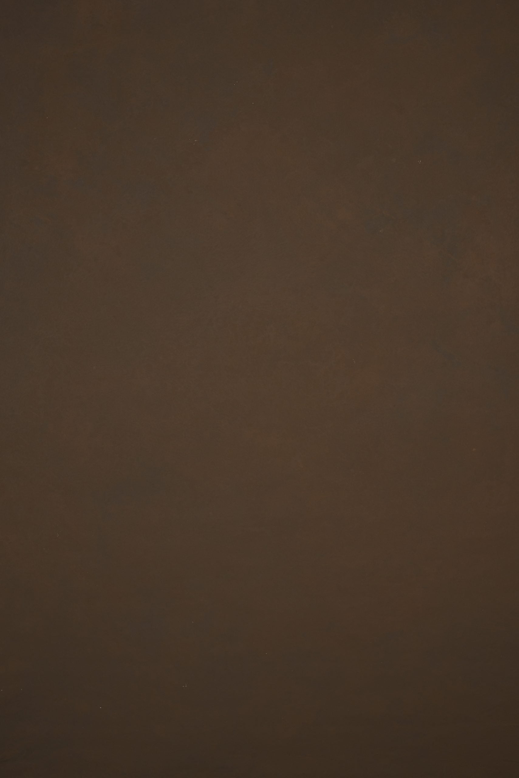 11830 Brown Low Text ST