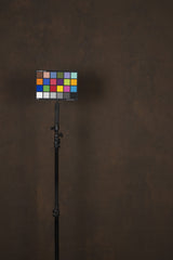 11831 Brown Mid Text ST