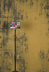 1184 Ochre Strong Text L+