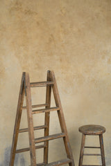 1186 Ochre Mid Text L+