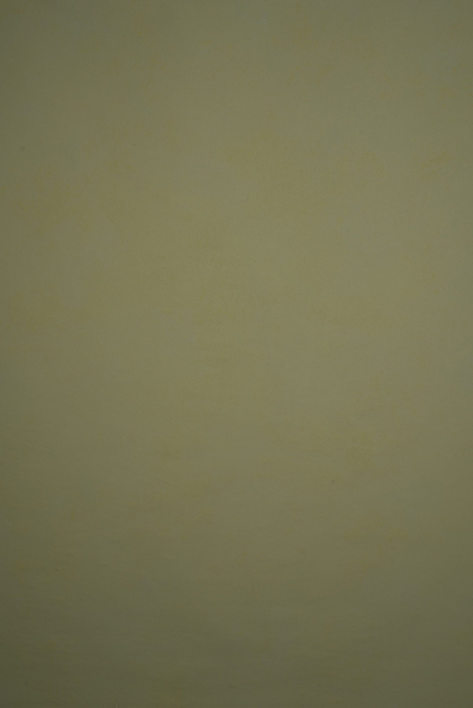 11875 Green Low Text L