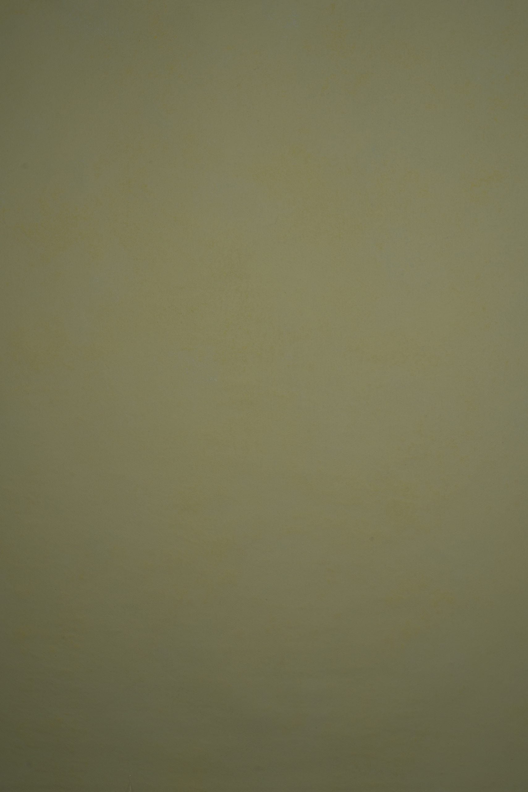 11875 Green Low Text L