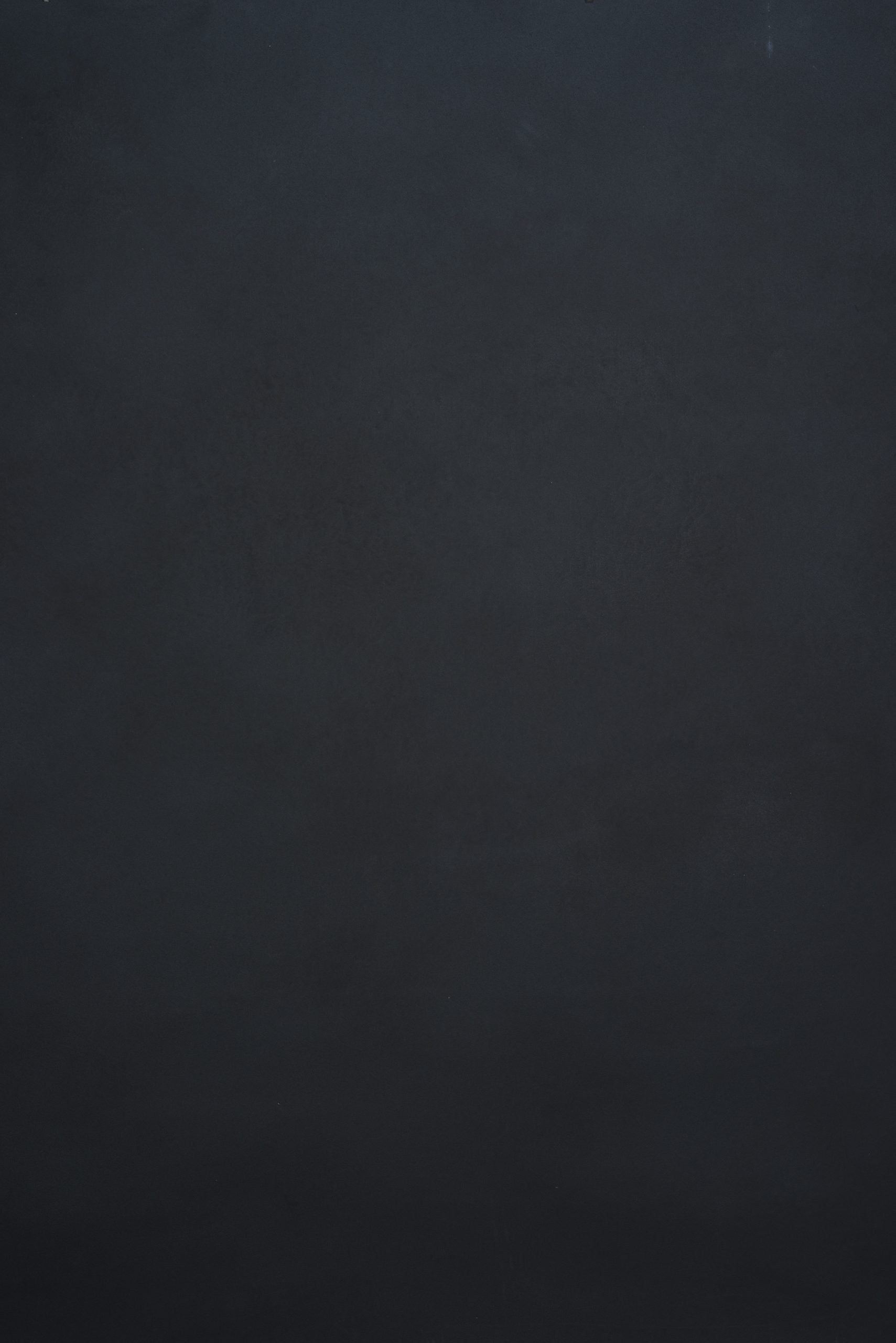 11880 Cold Grey Low Text L
