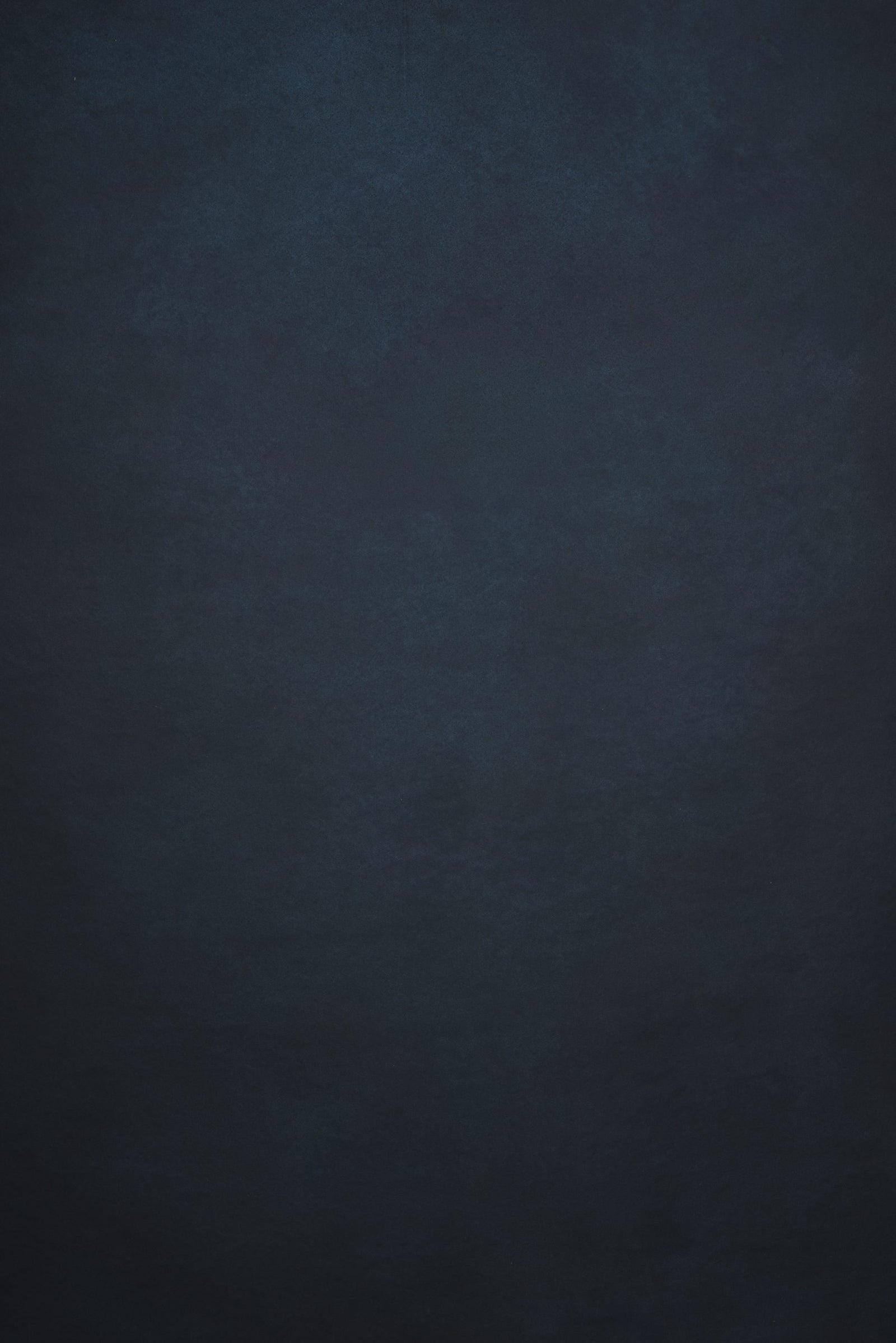 11881 Cold Grey Low Text L