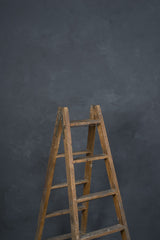 11882 Cold Grey Mid Text L