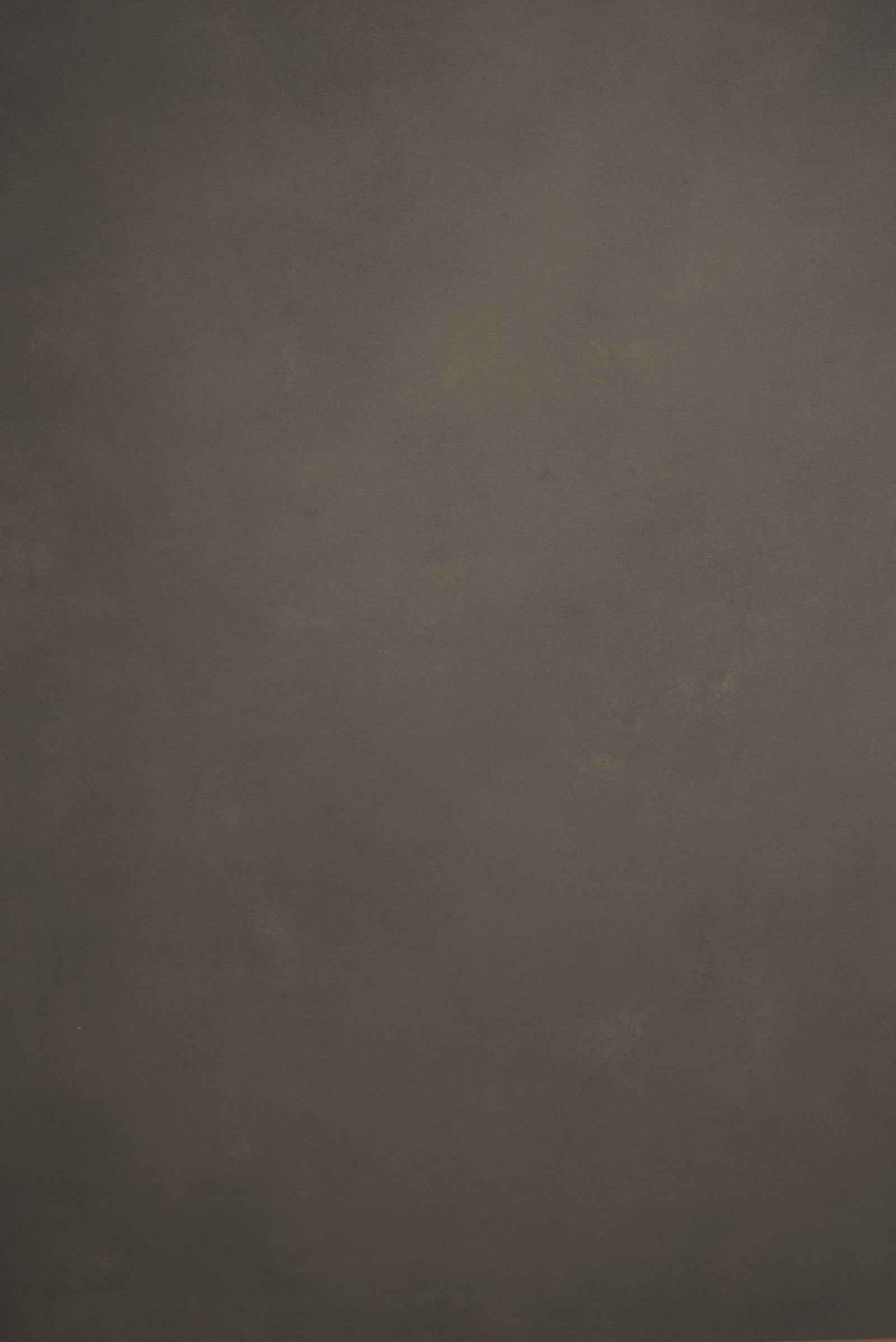 11884 Warm Grey Low Text L