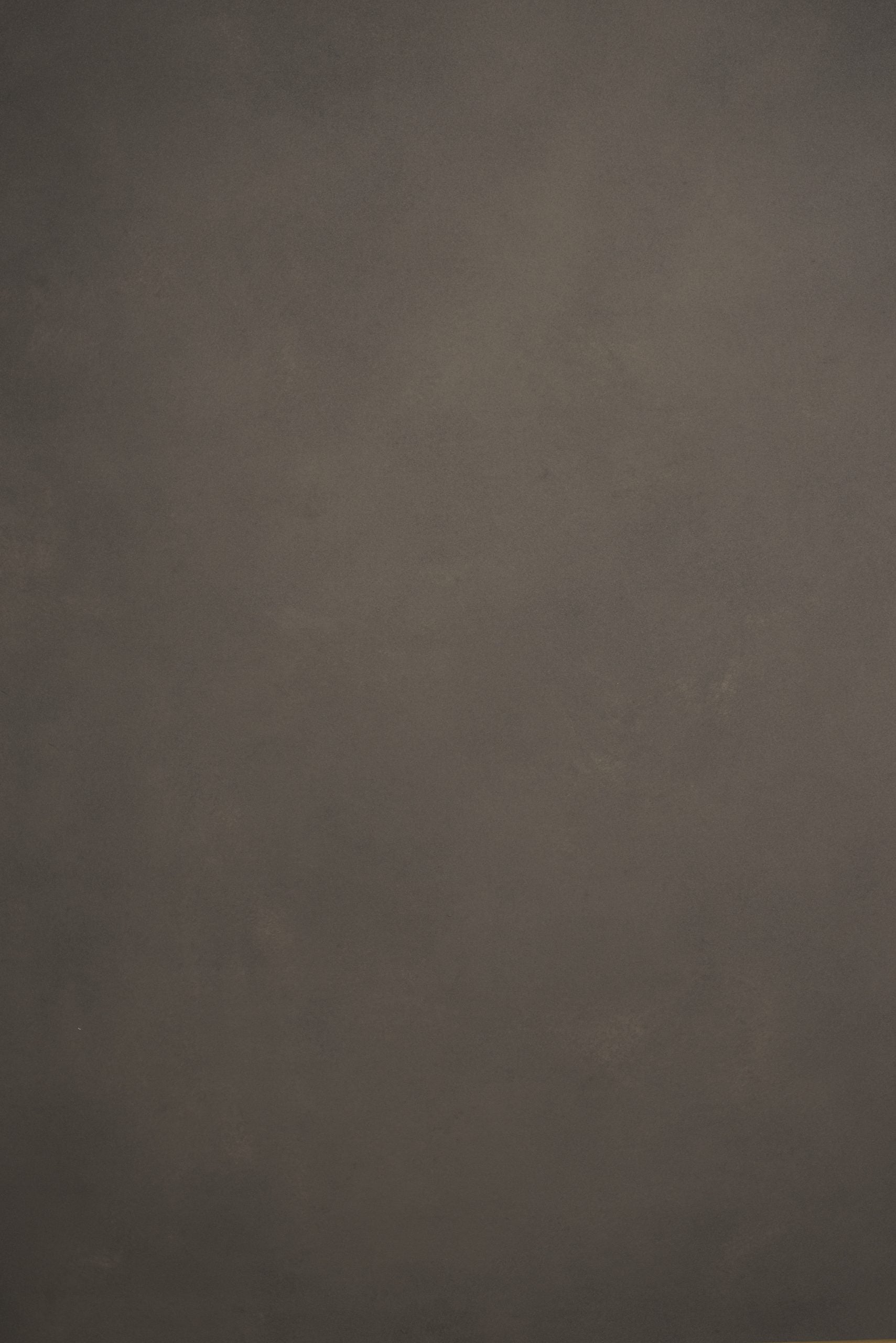 11884 Warm Grey Low Text L