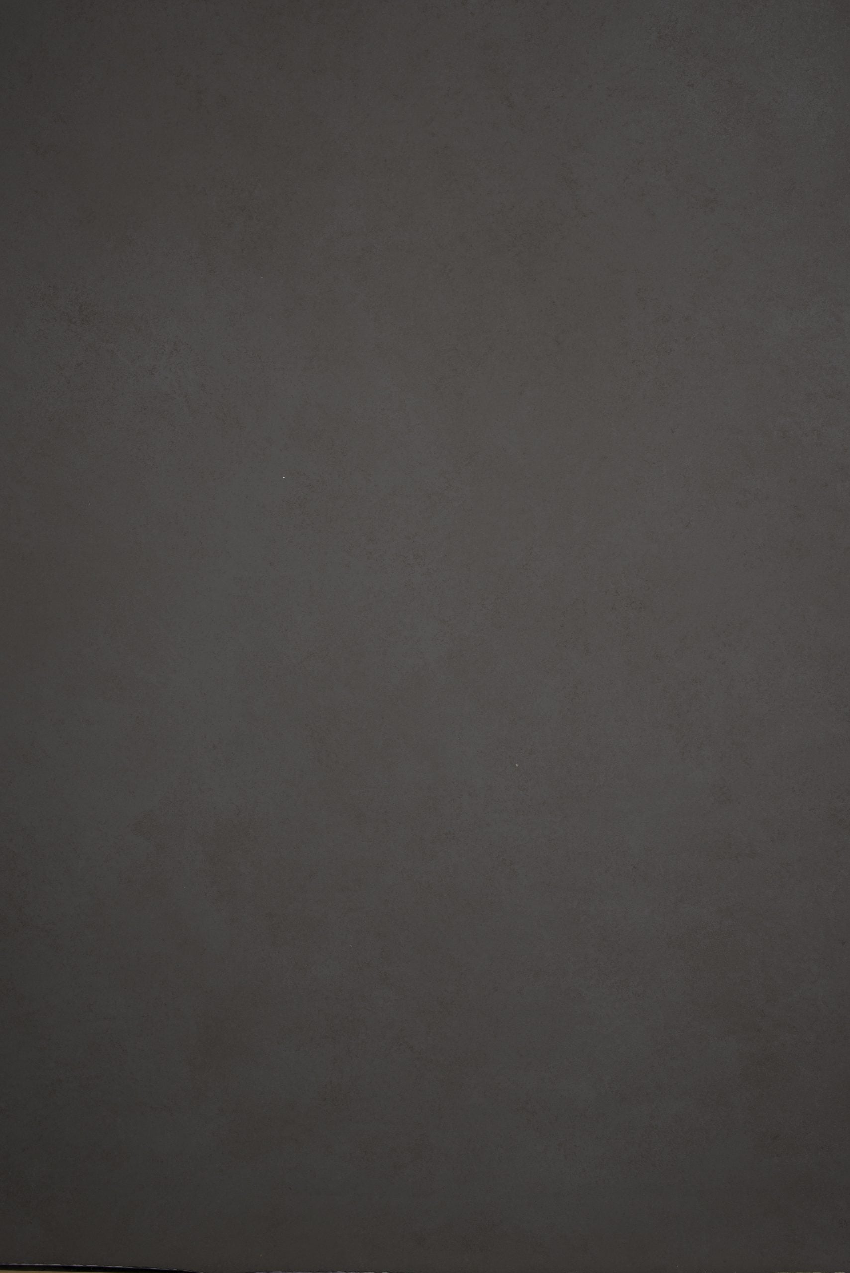 11886 Warm Grey Low Text L