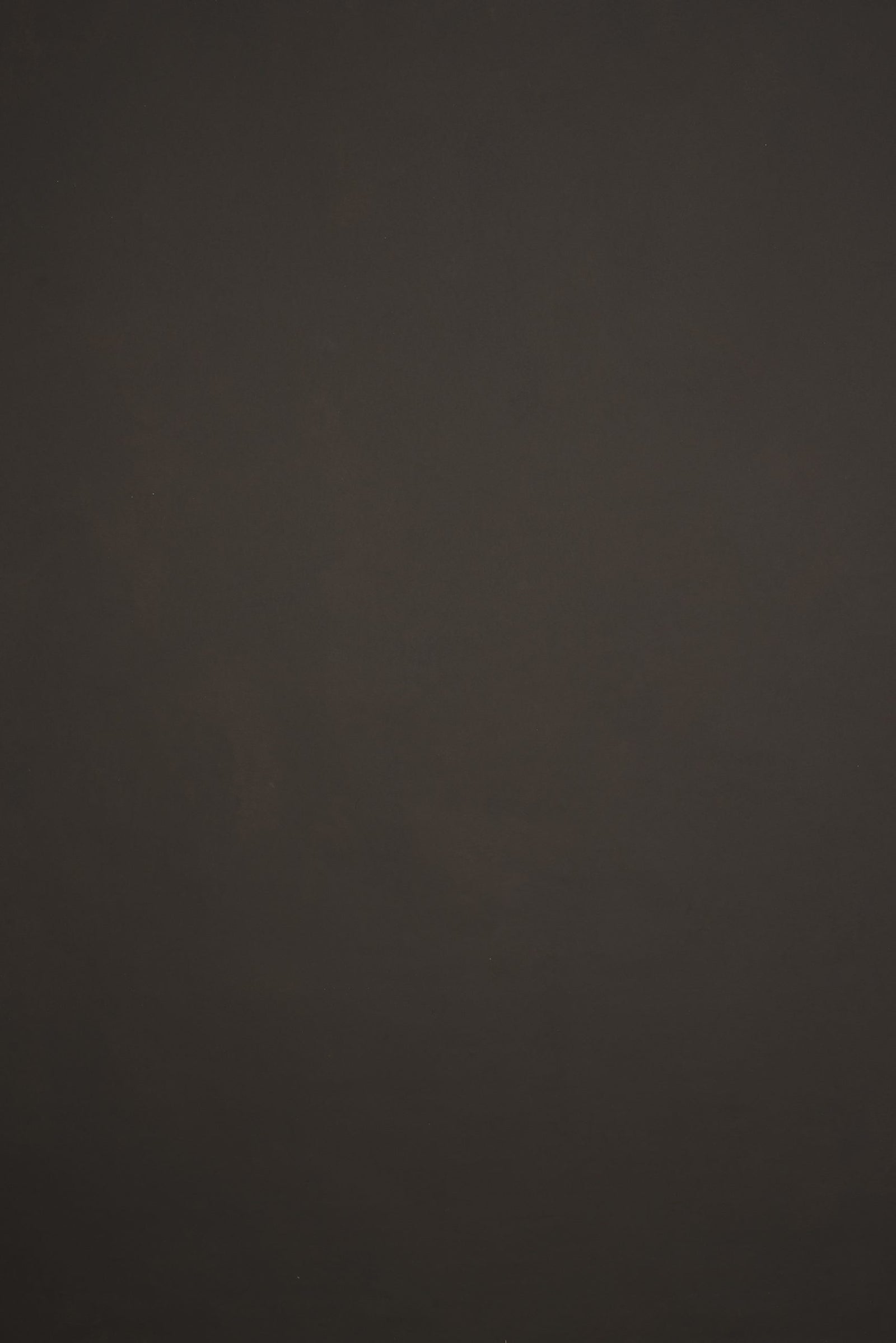 11891 Dark Grey Low Text L