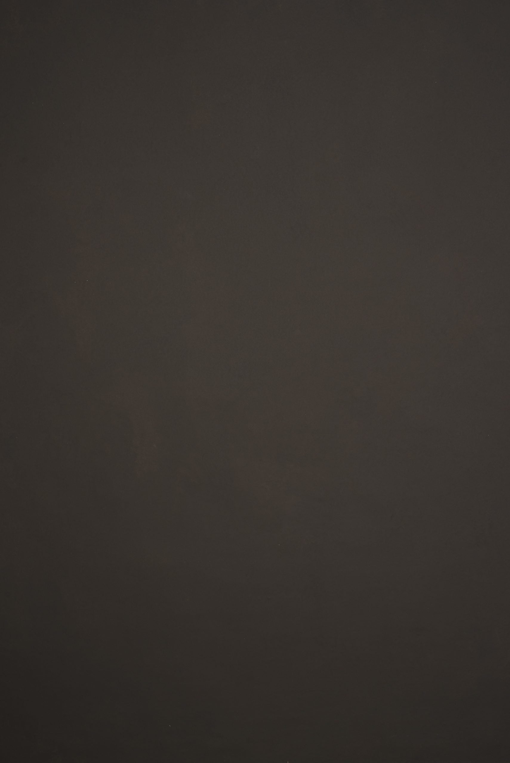11891 Dark Grey Low Text L