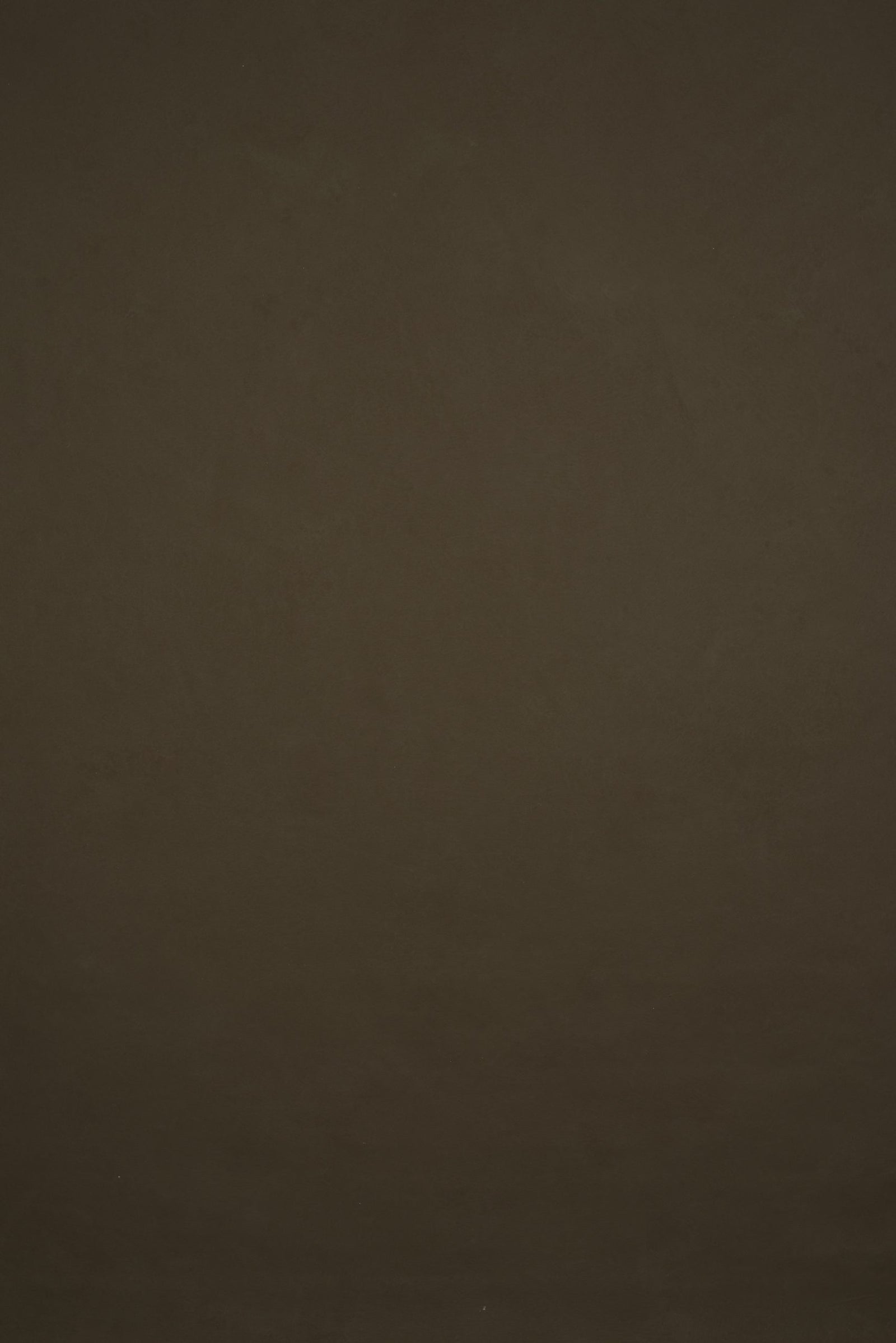 11893 Brown Low Text L