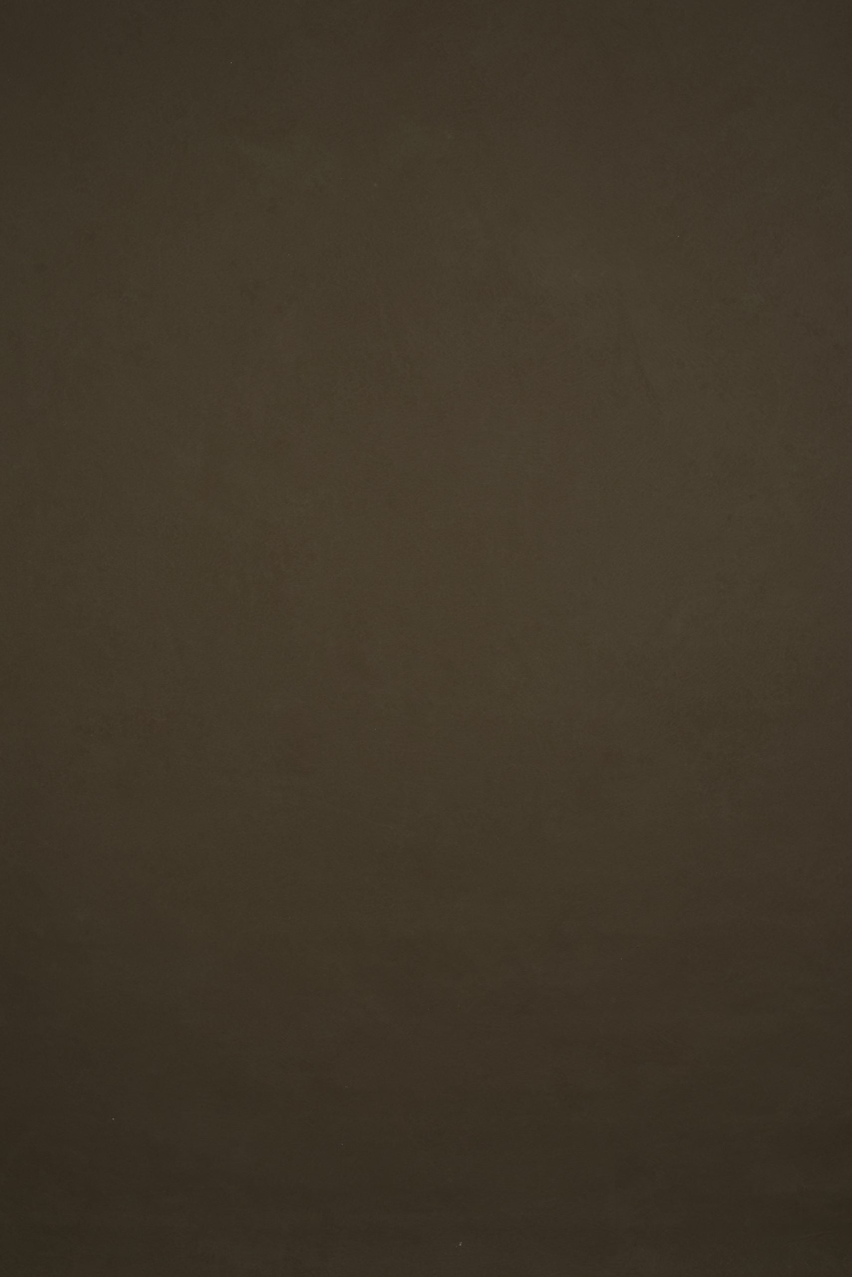 11893 Brown Low Text L