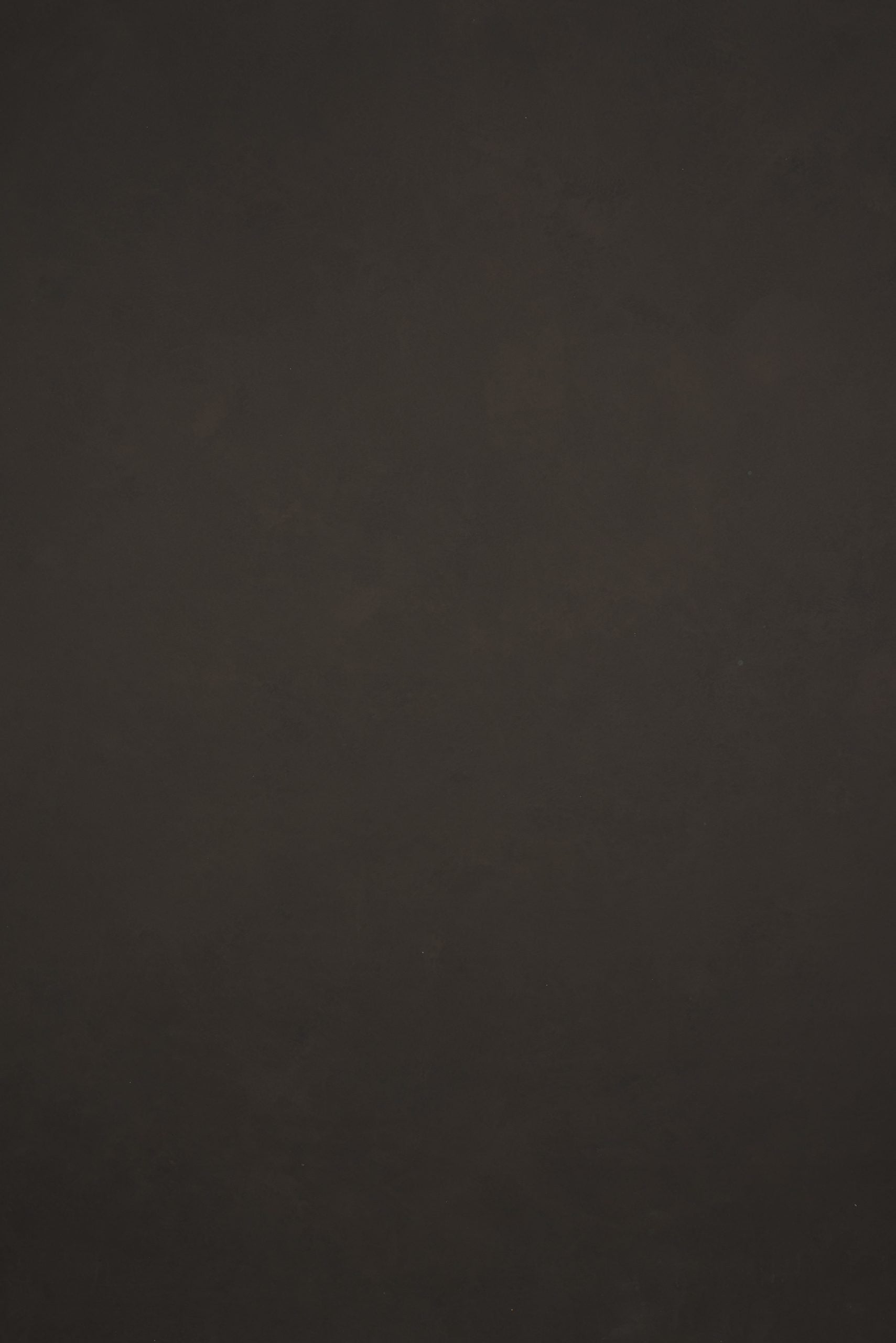11894 Brown Low Text L
