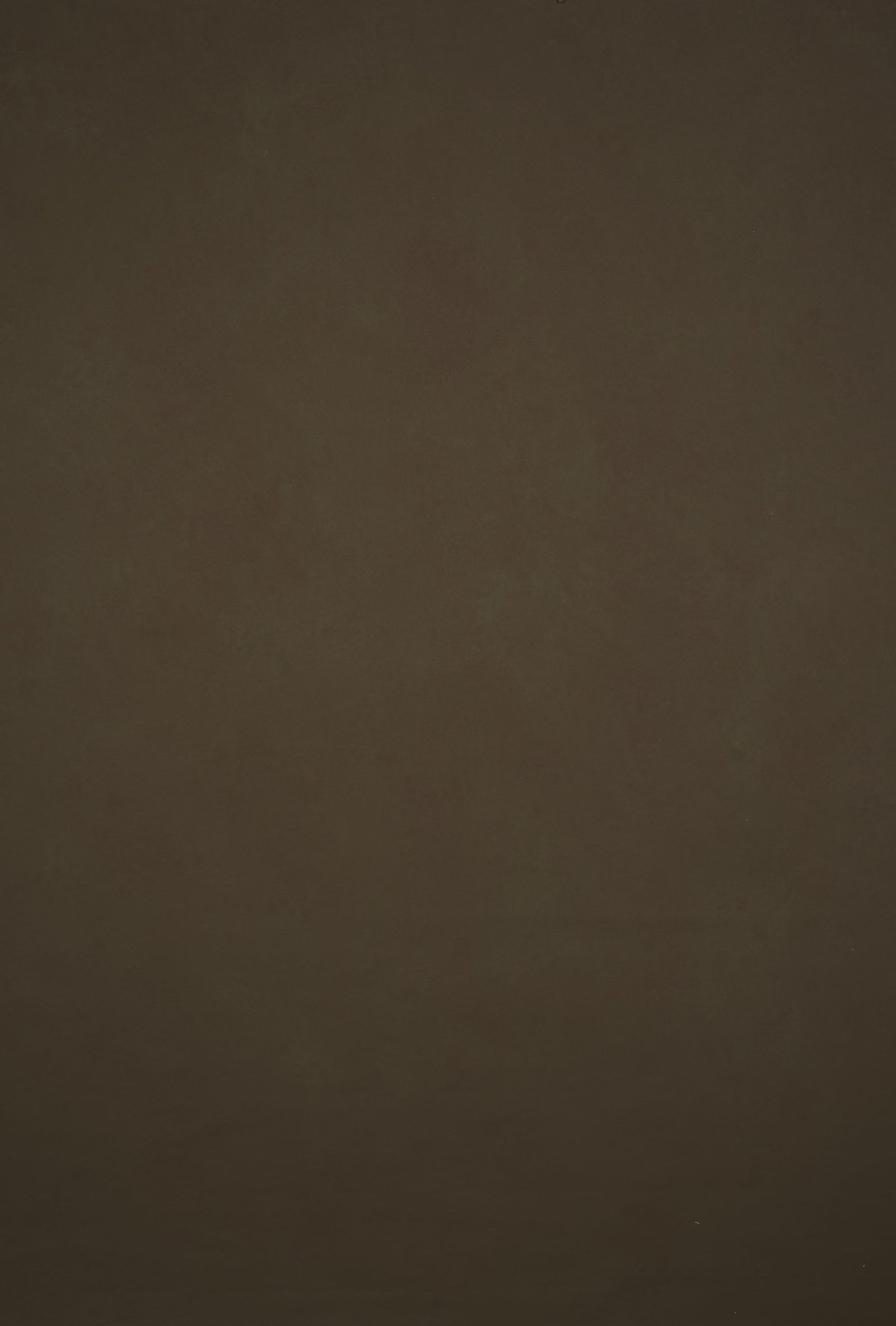 11895 Brown Low Text L