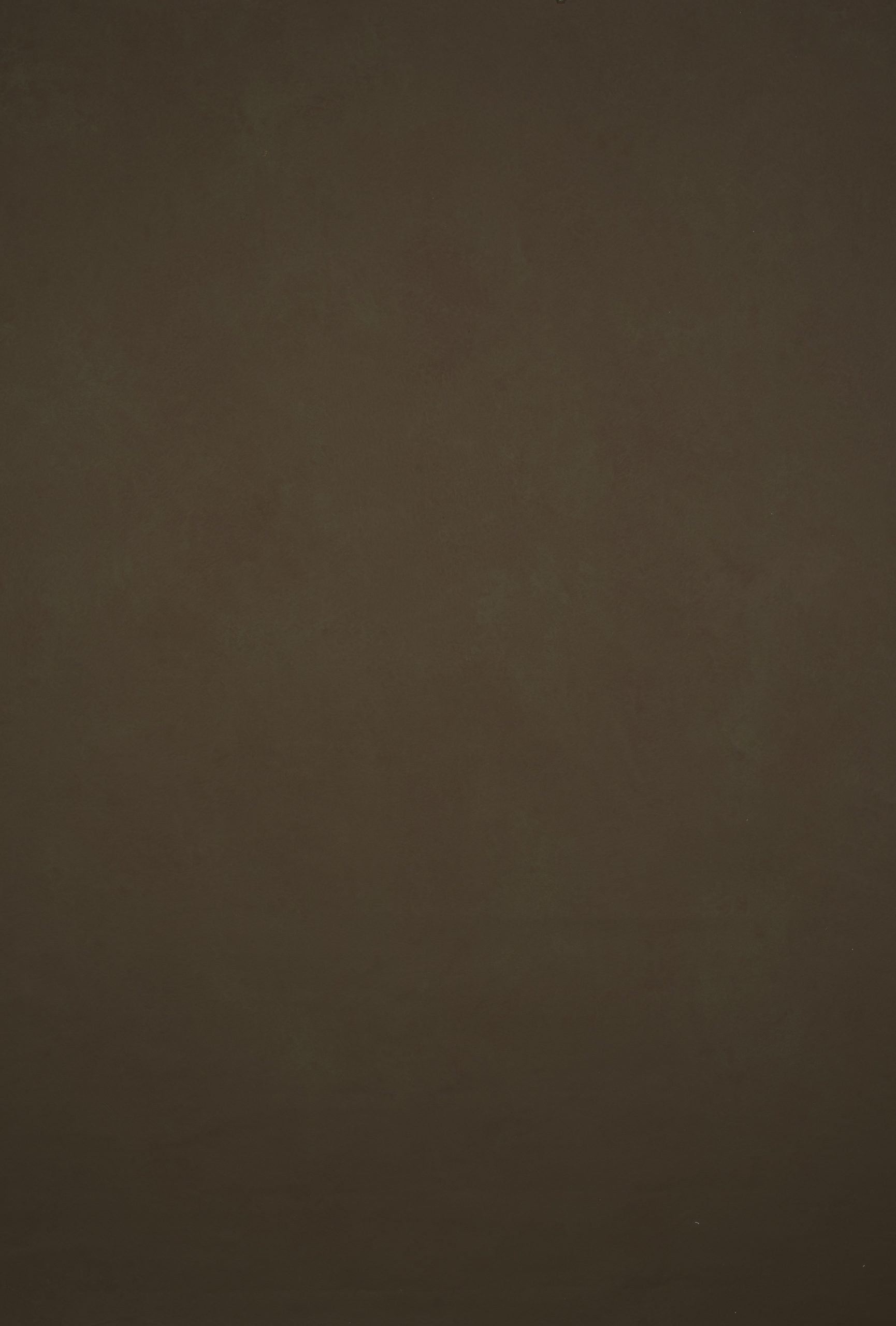 11895 Brown Low Text L