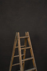 11896 Brown Mid Text L
