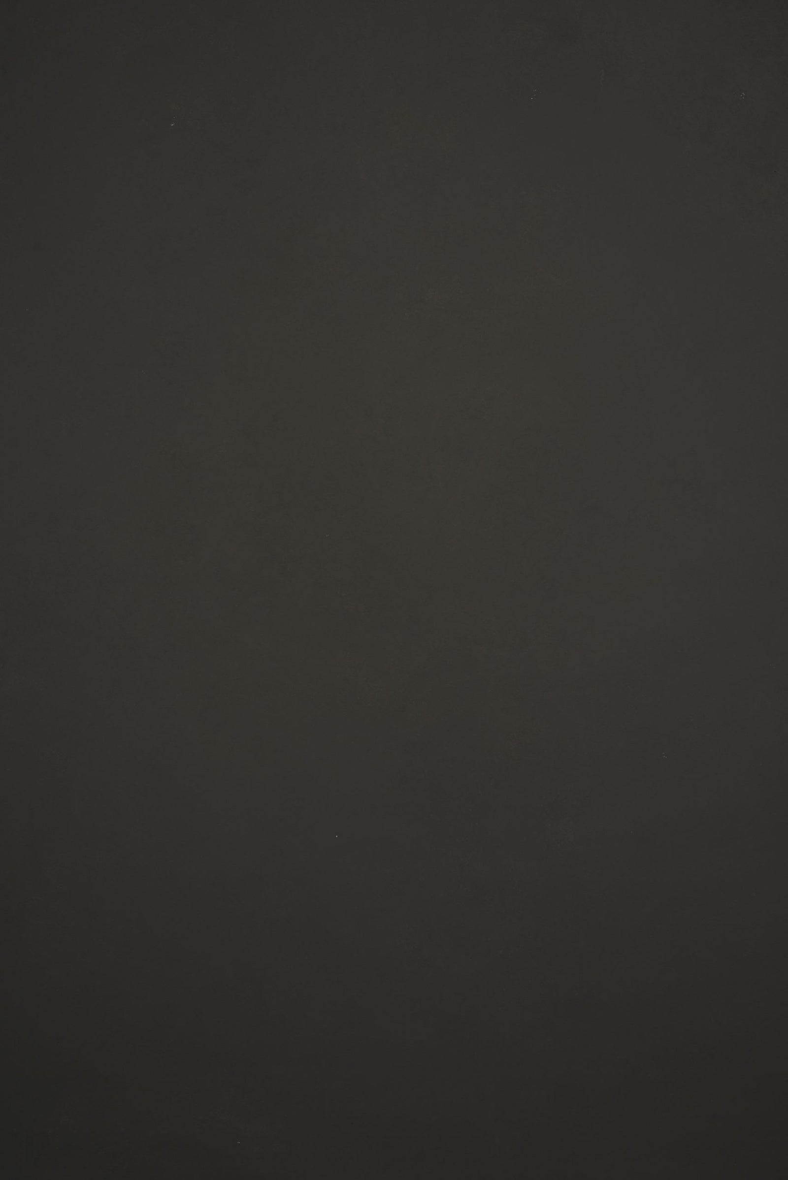 11910 Dark Green Grey Low Text L