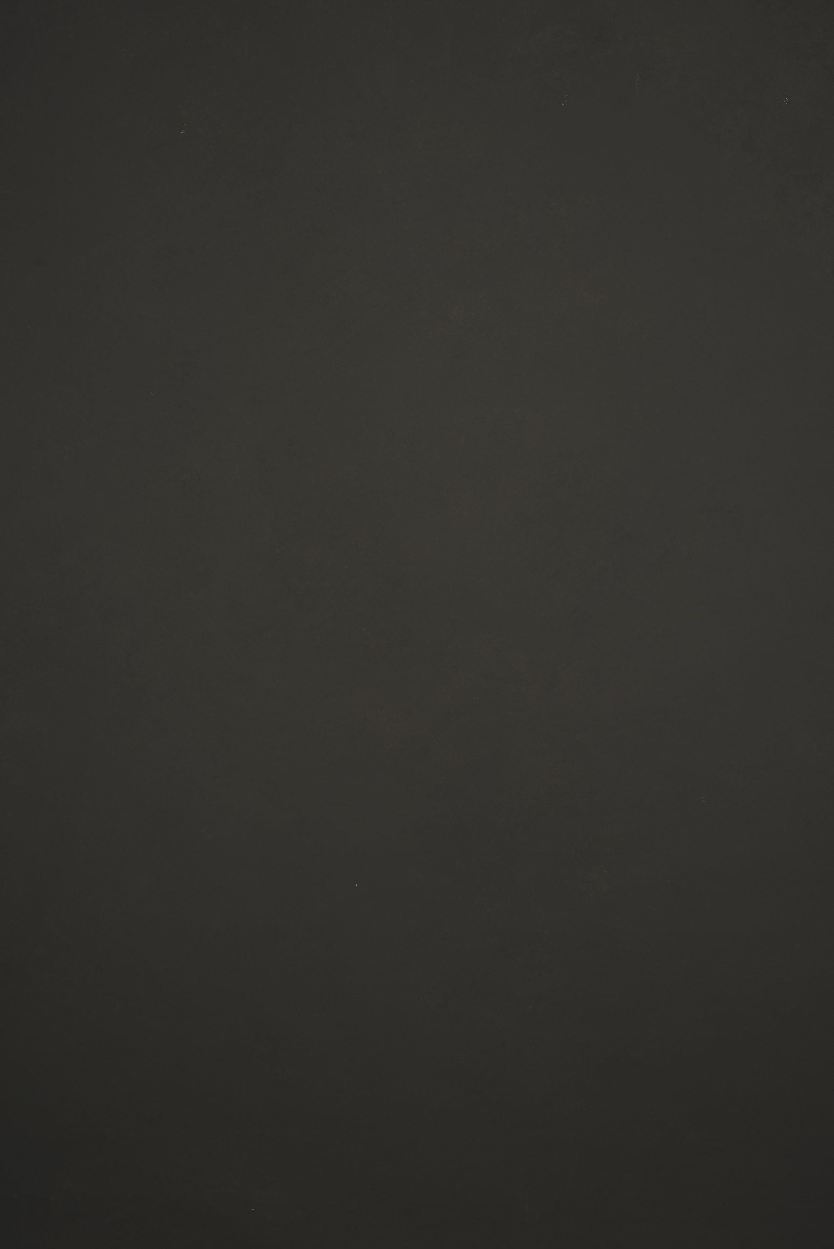 11910 Dark Green Grey Low Text L