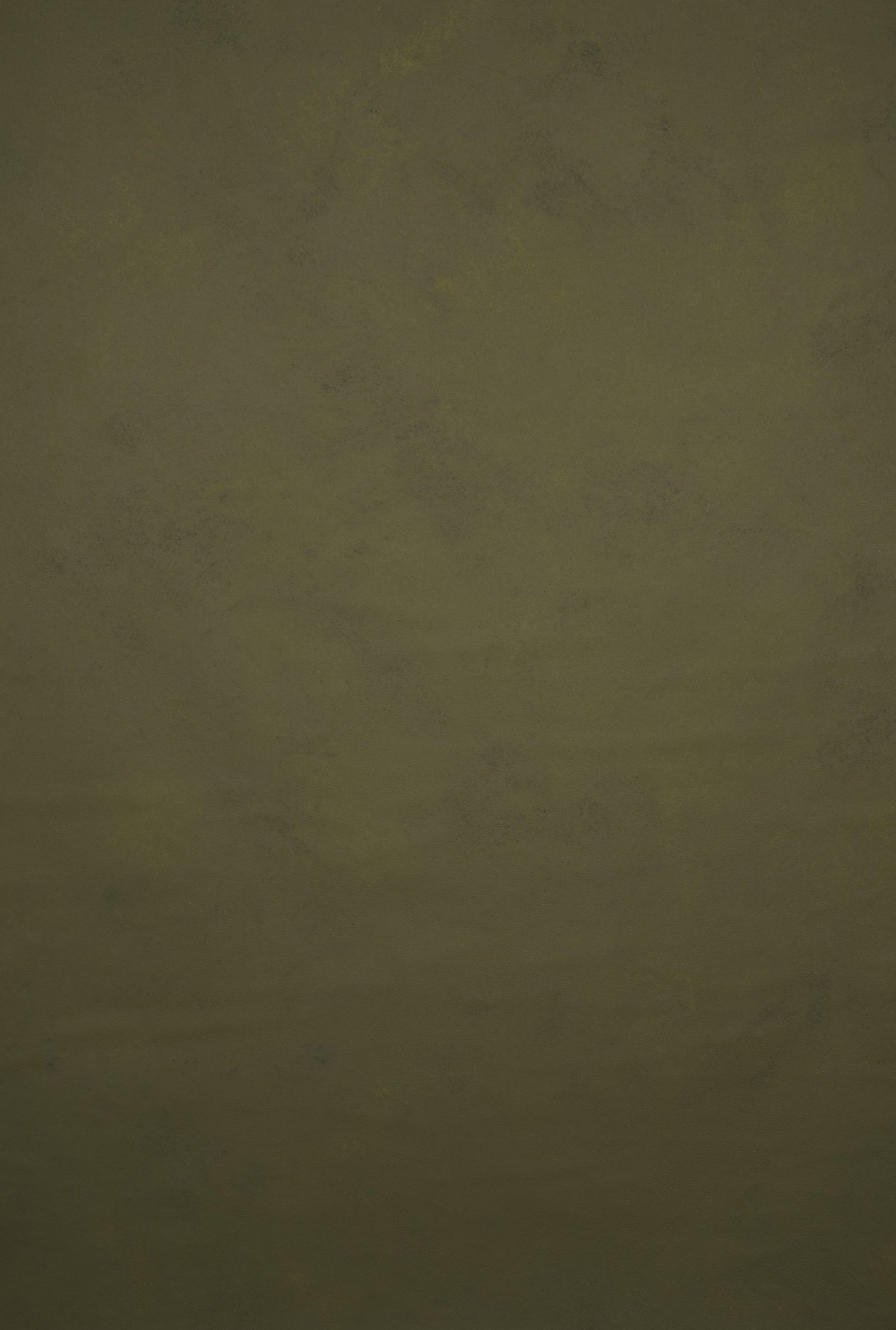 11912 Olive Green Low Text L