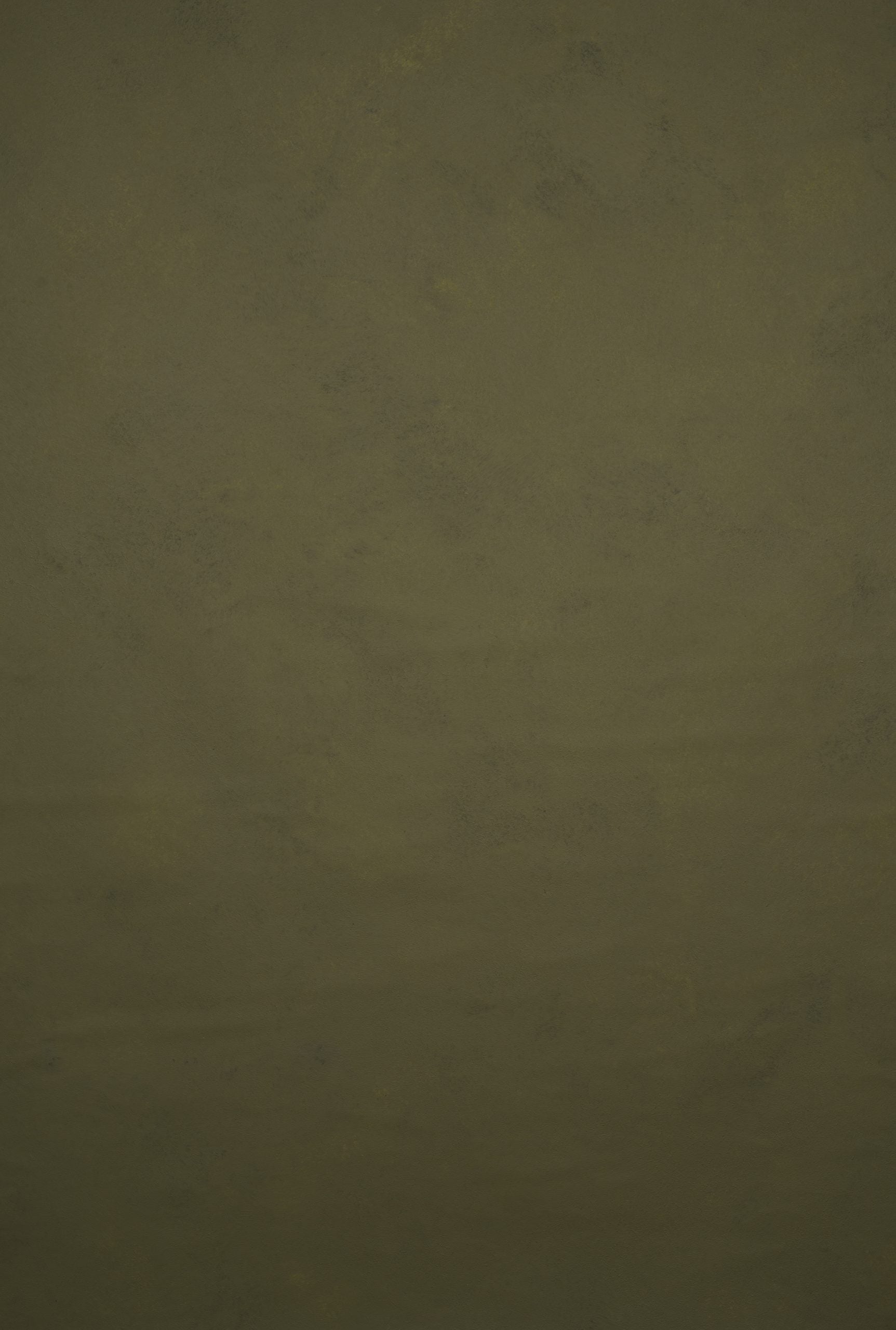 11912 Olive Green Low Text L