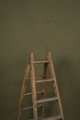 11912 Olive Green Low Text L