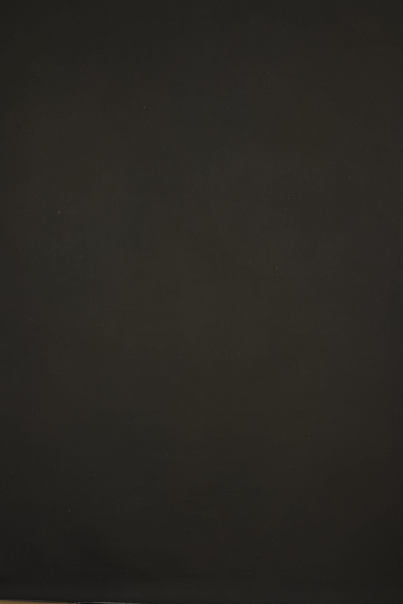 11915 Olive Green Distressed Text L