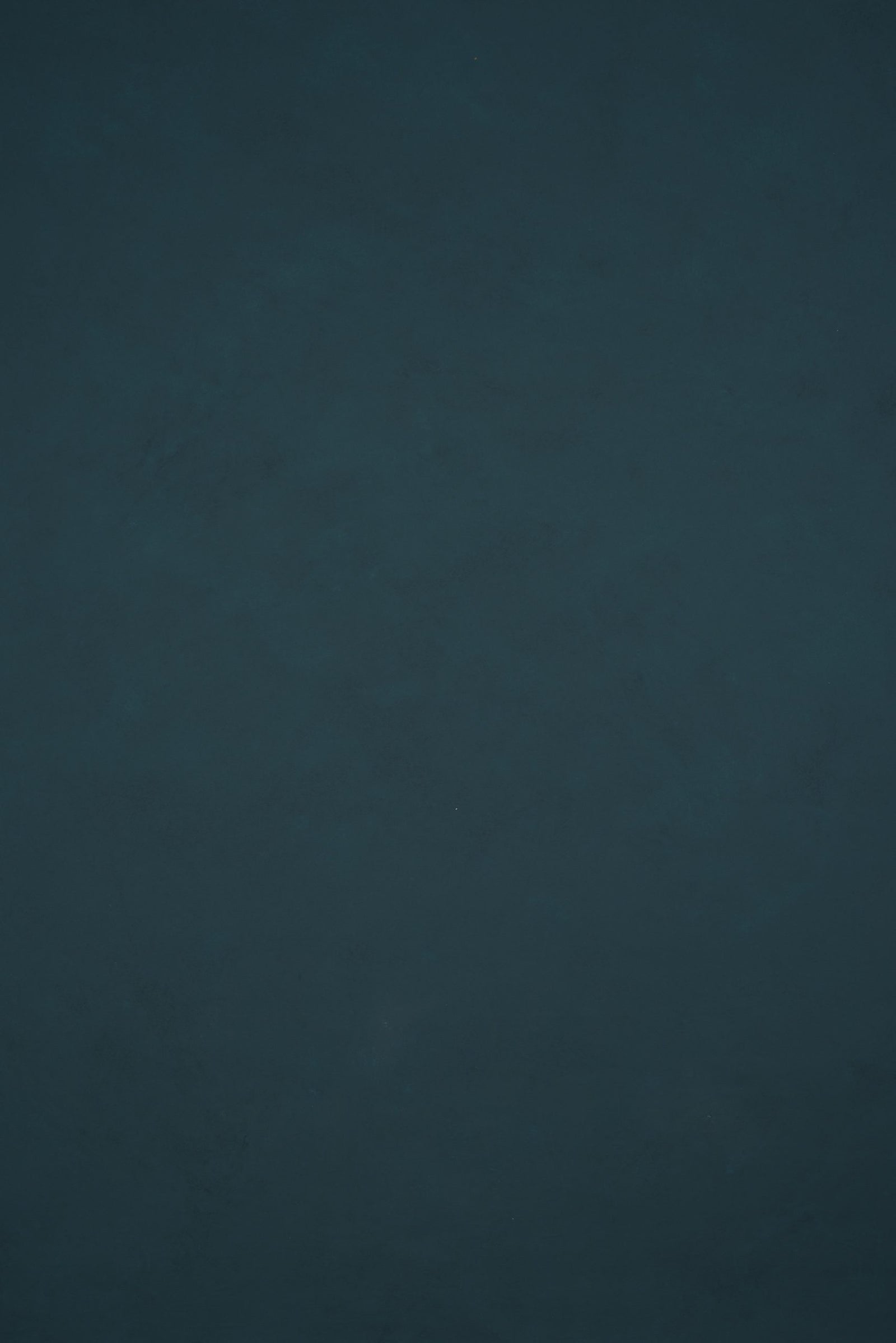11917 Blue Low Text L