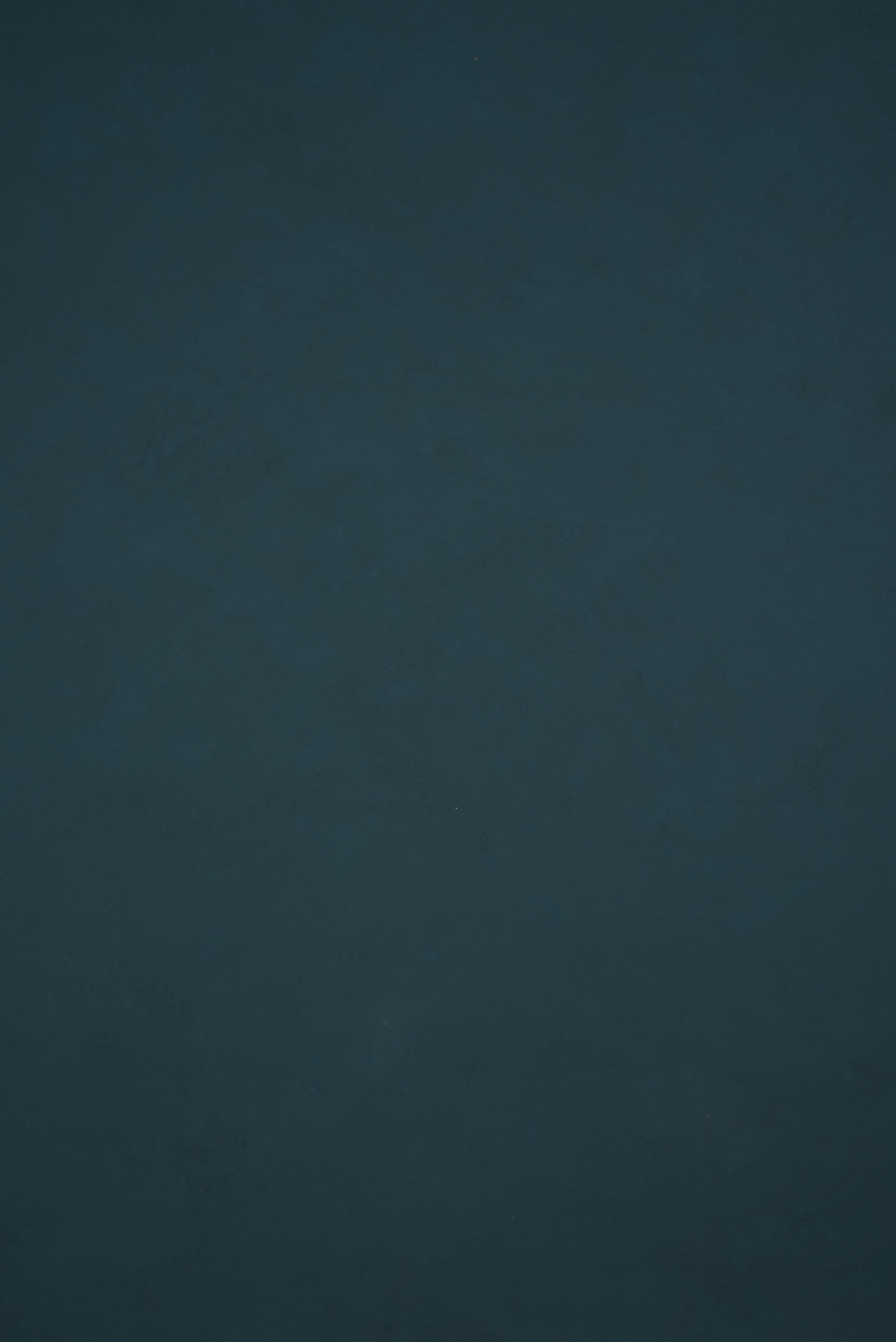 11917 Blue Low Text L
