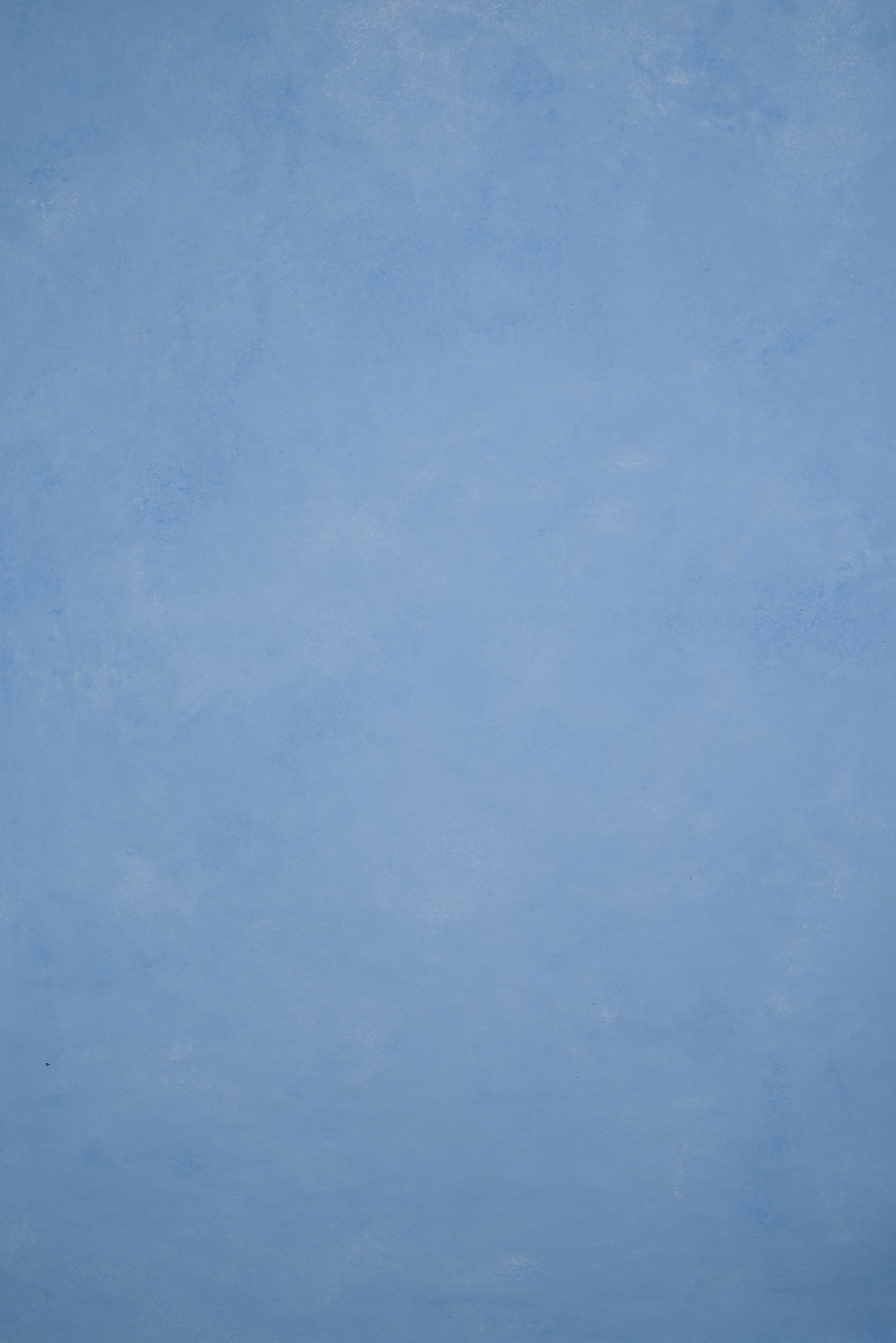 11918 Blue Low Text L
