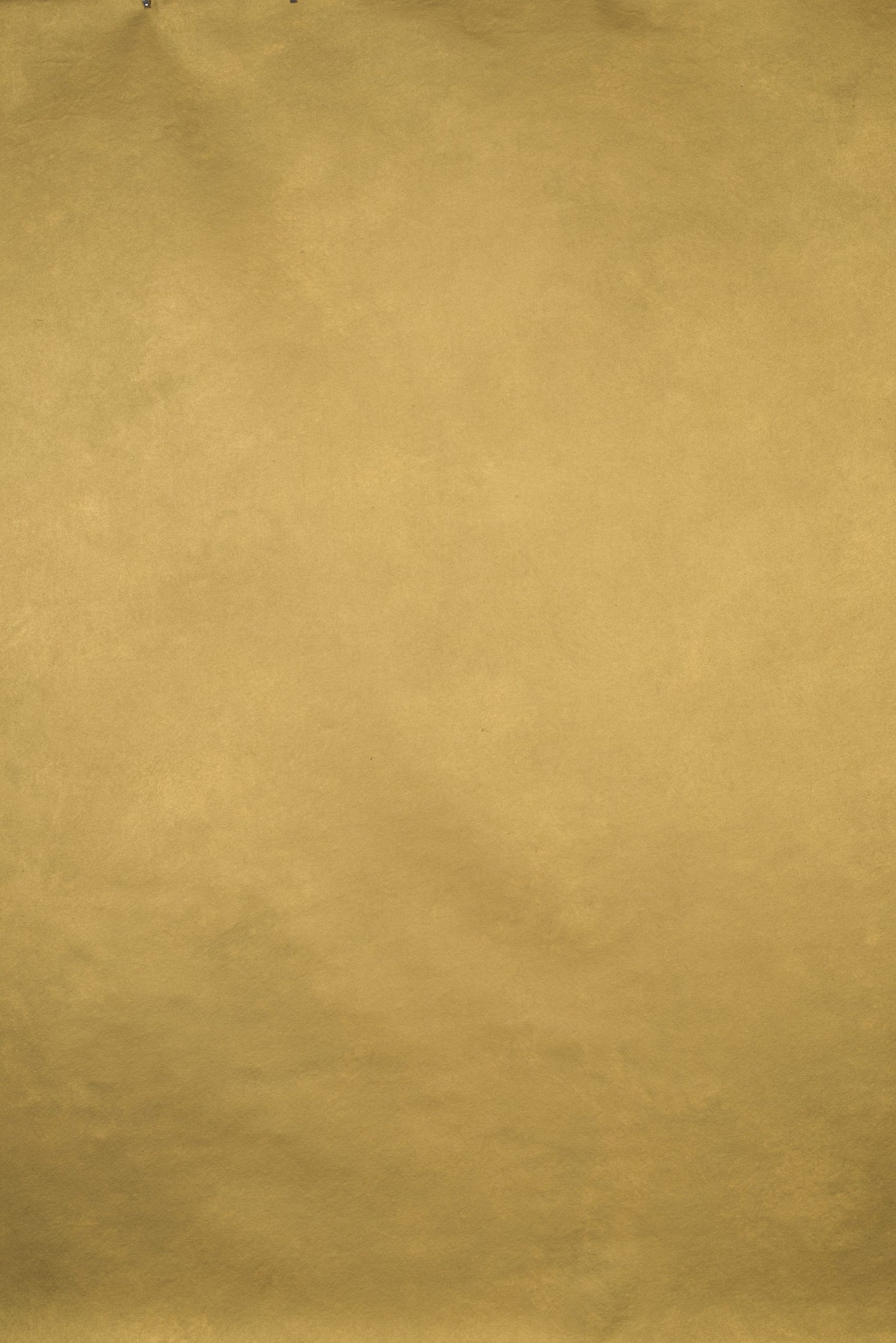 1192 Gold Mid Text L+