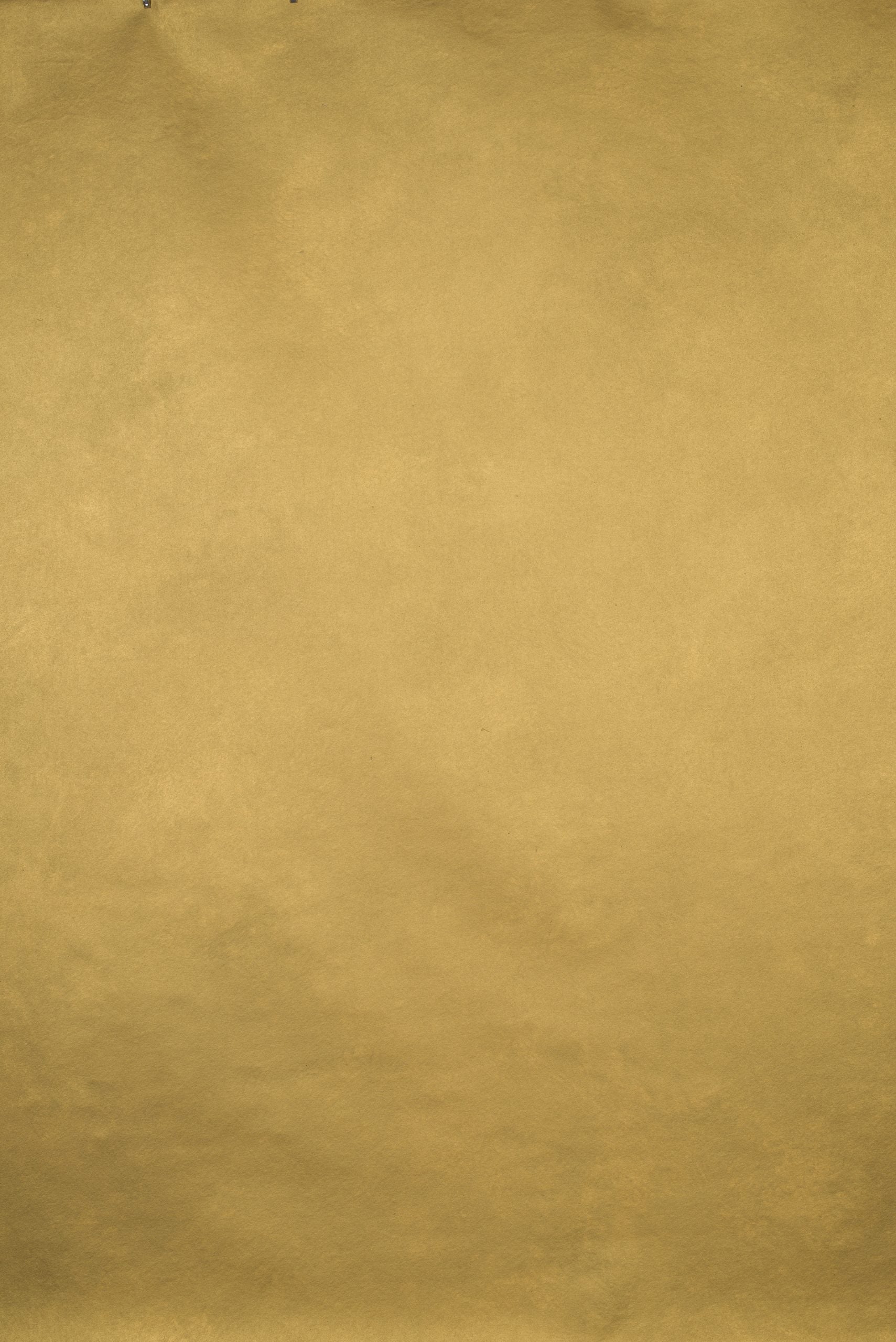 1192 Gold Mid Text L+