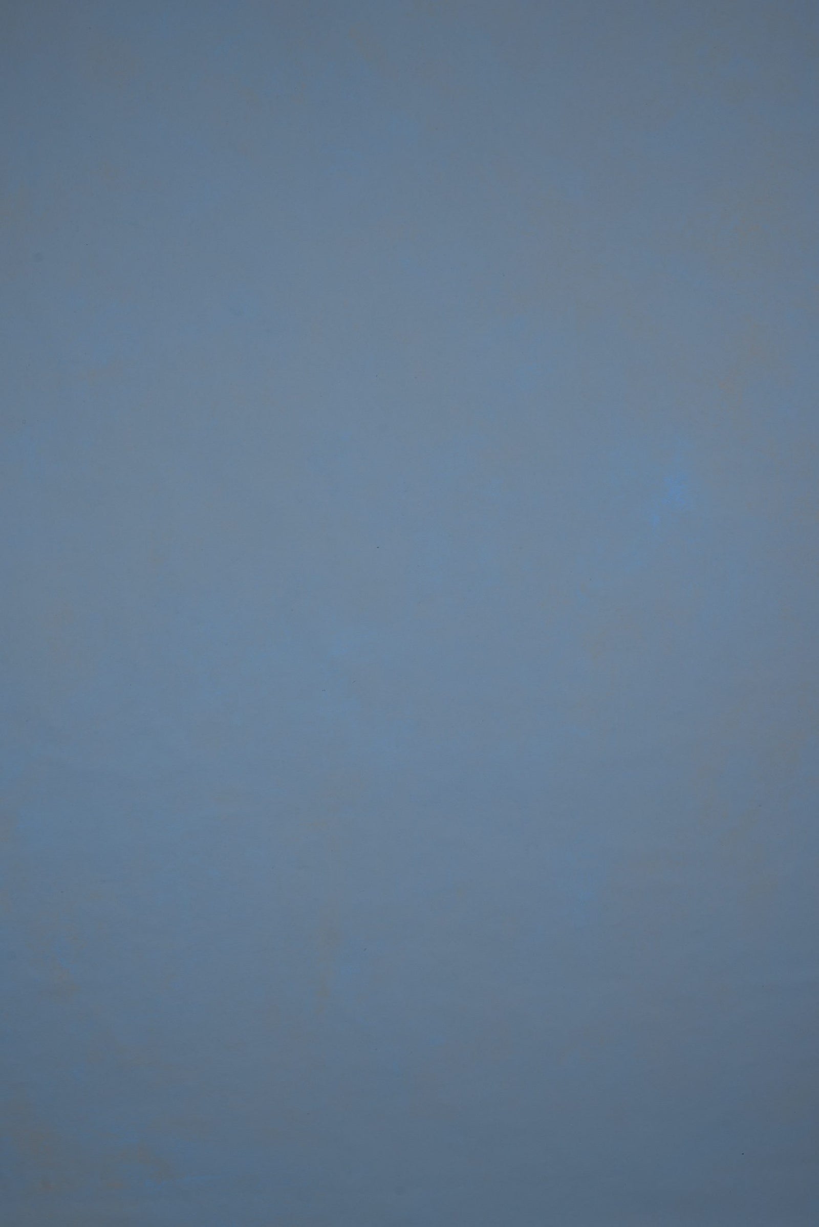 11920 Blue Low Text L