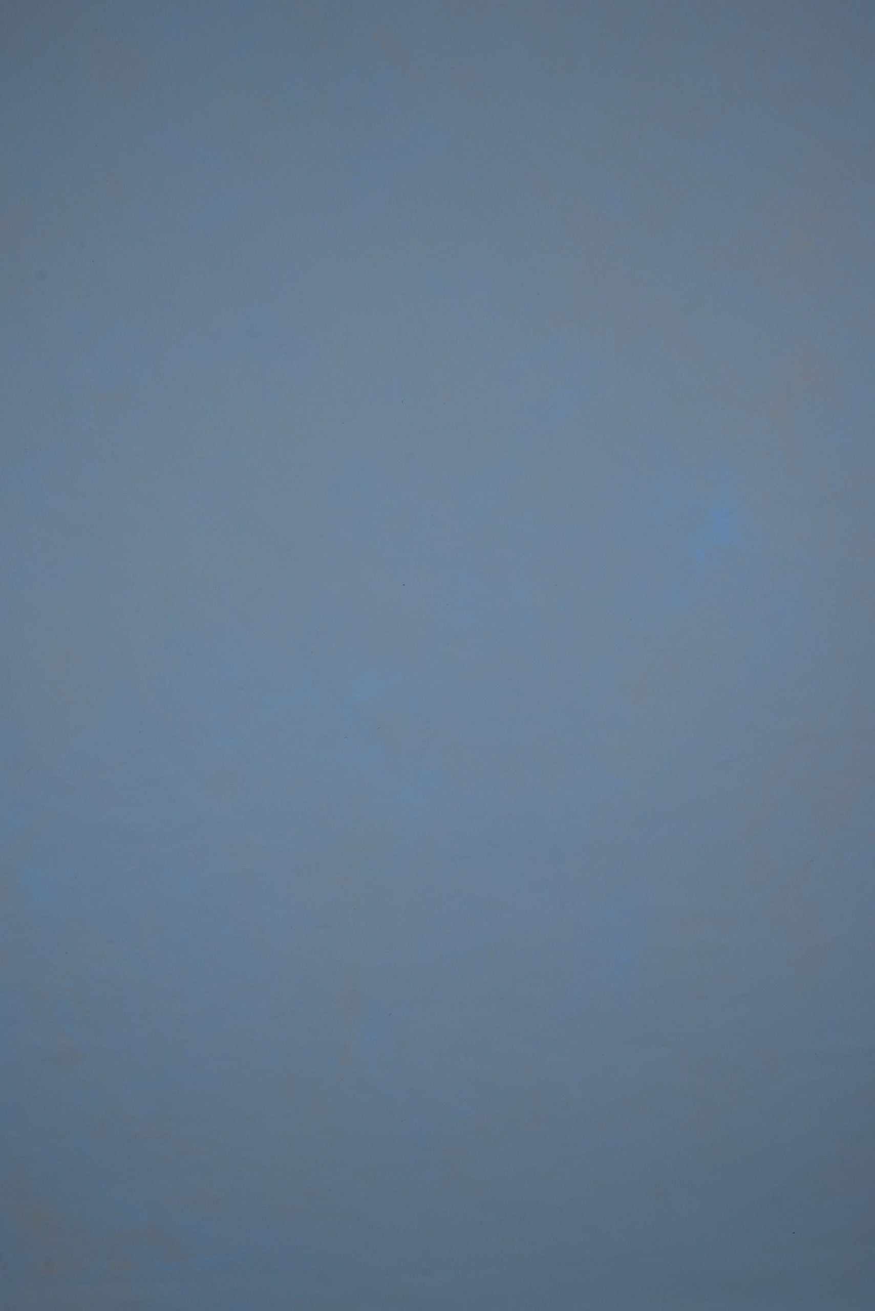 11920 Blue Low Text L