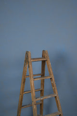 11920 Blue Low Text L
