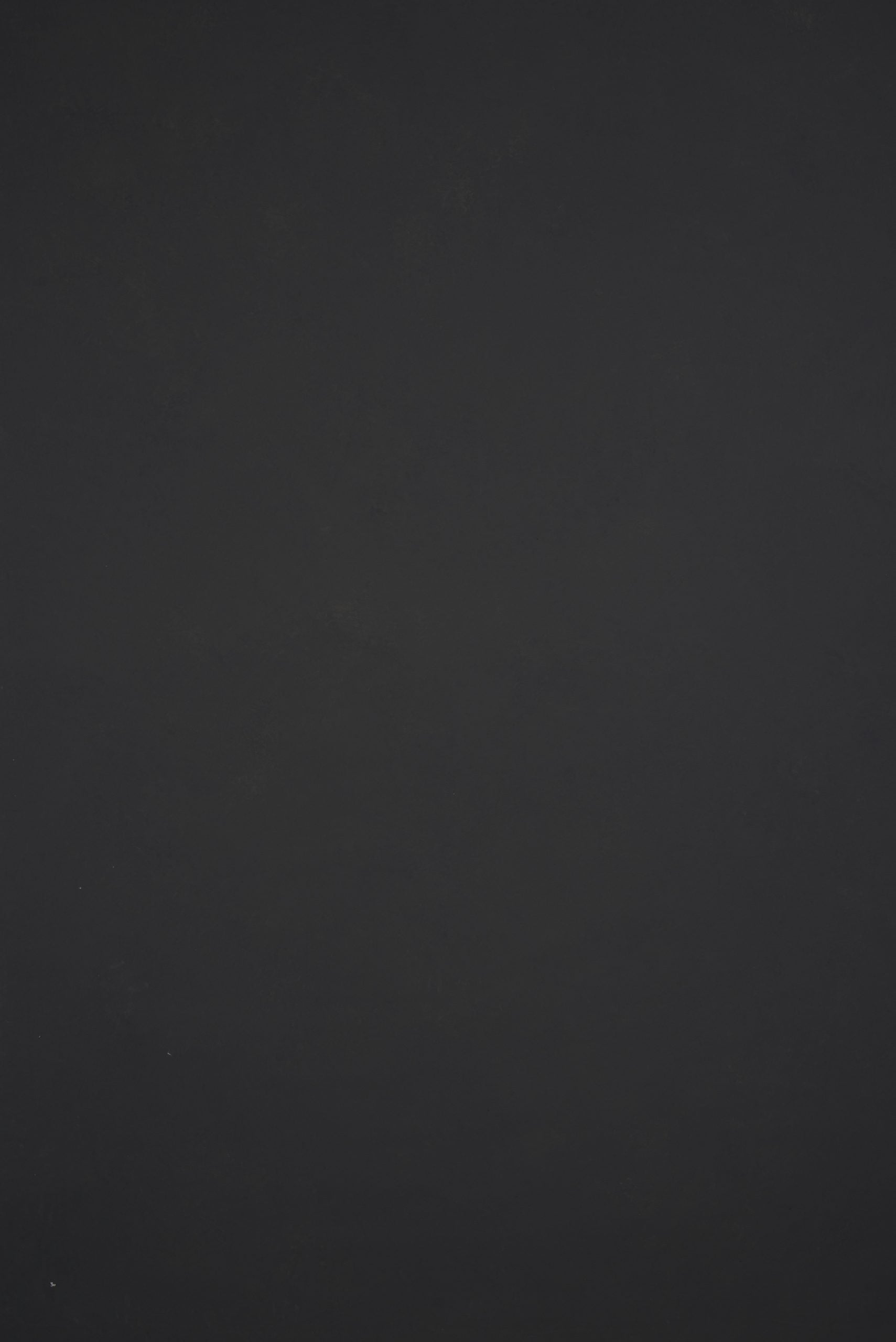 11942 Dark Cold Grey Backdrop Low Text M