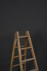 11942 Dark Cold Grey Backdrop Low Text M