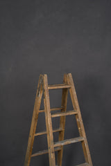 Dark Grey Backdrop Low Text M 11944