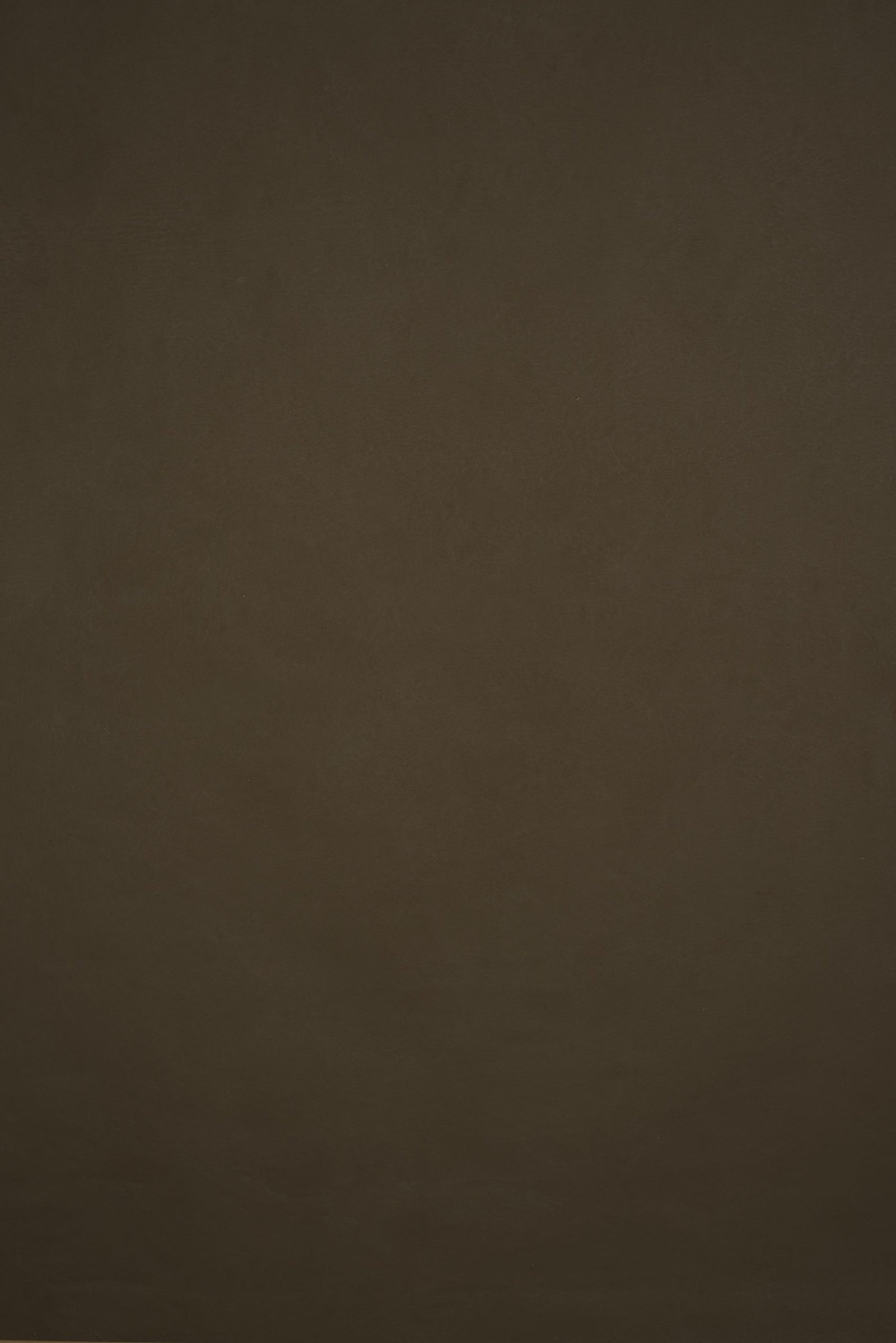 11958 Brown Low Text M