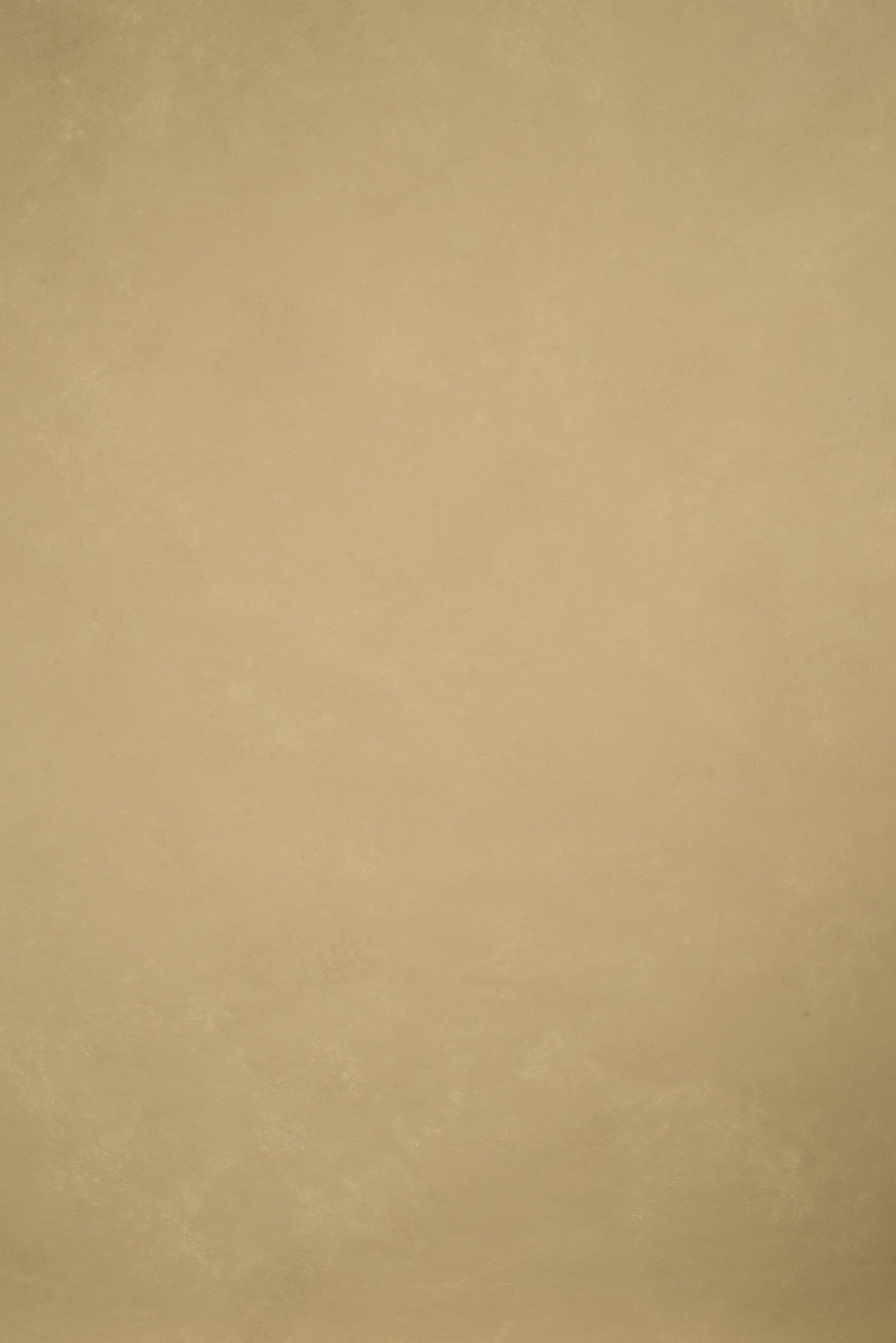 11960 Beige Low Text M