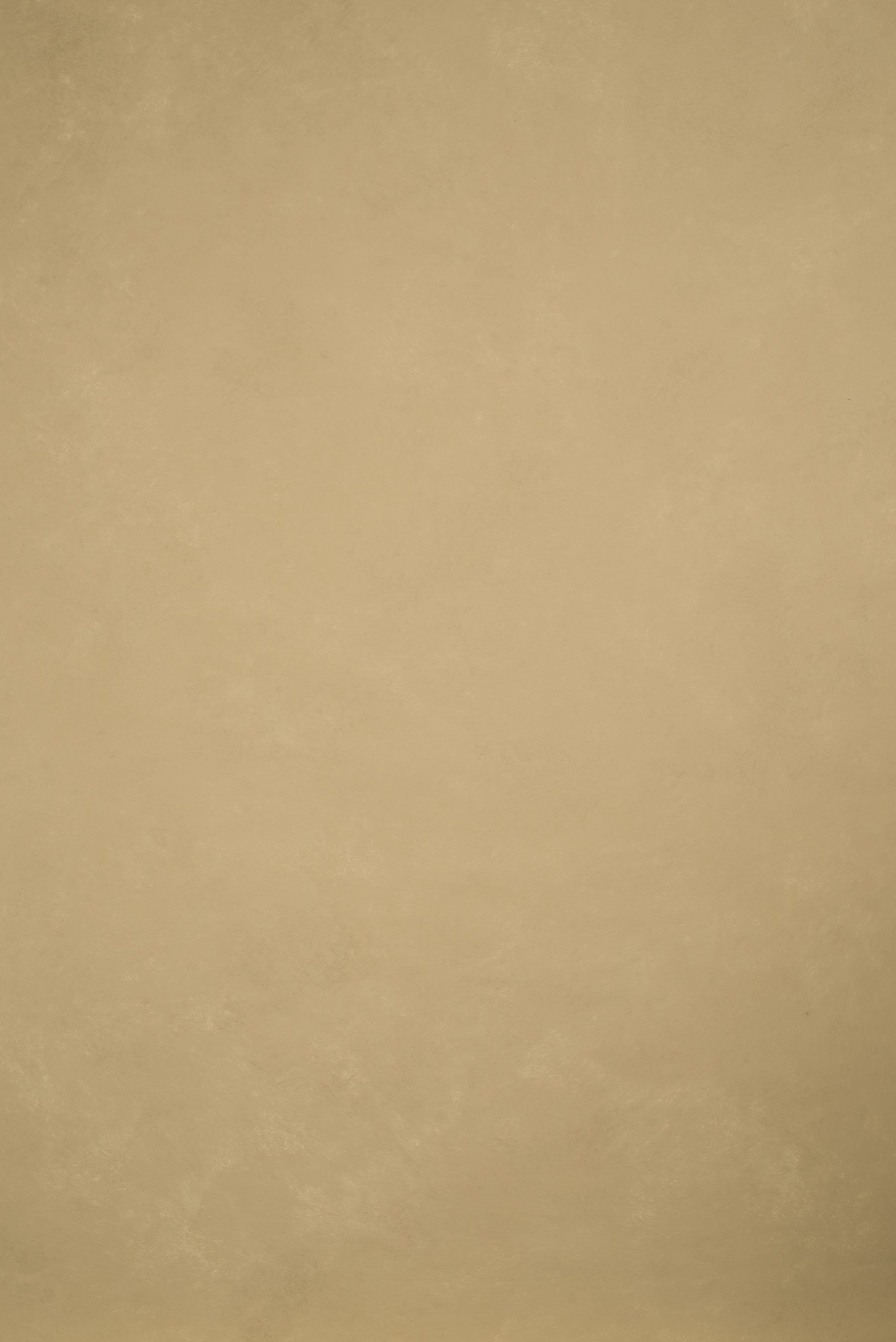 11960 Beige Low Text M