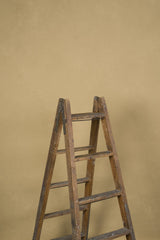 11960 Beige Low Text M